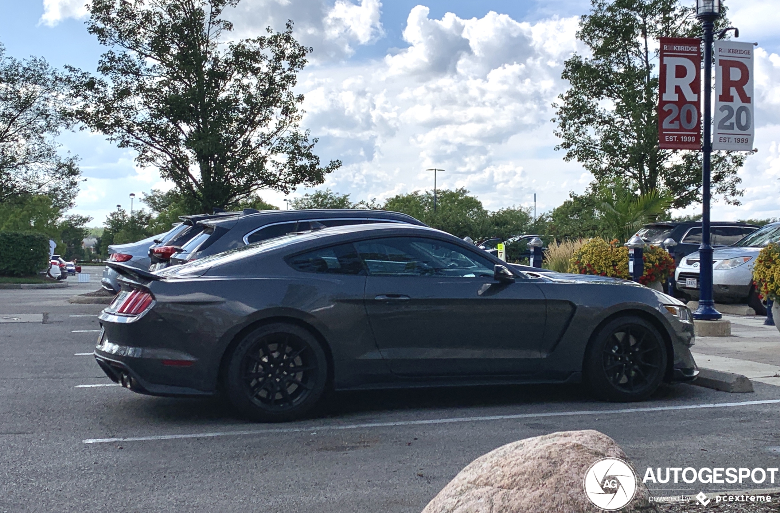 Ford Mustang Shelby GT350 2015