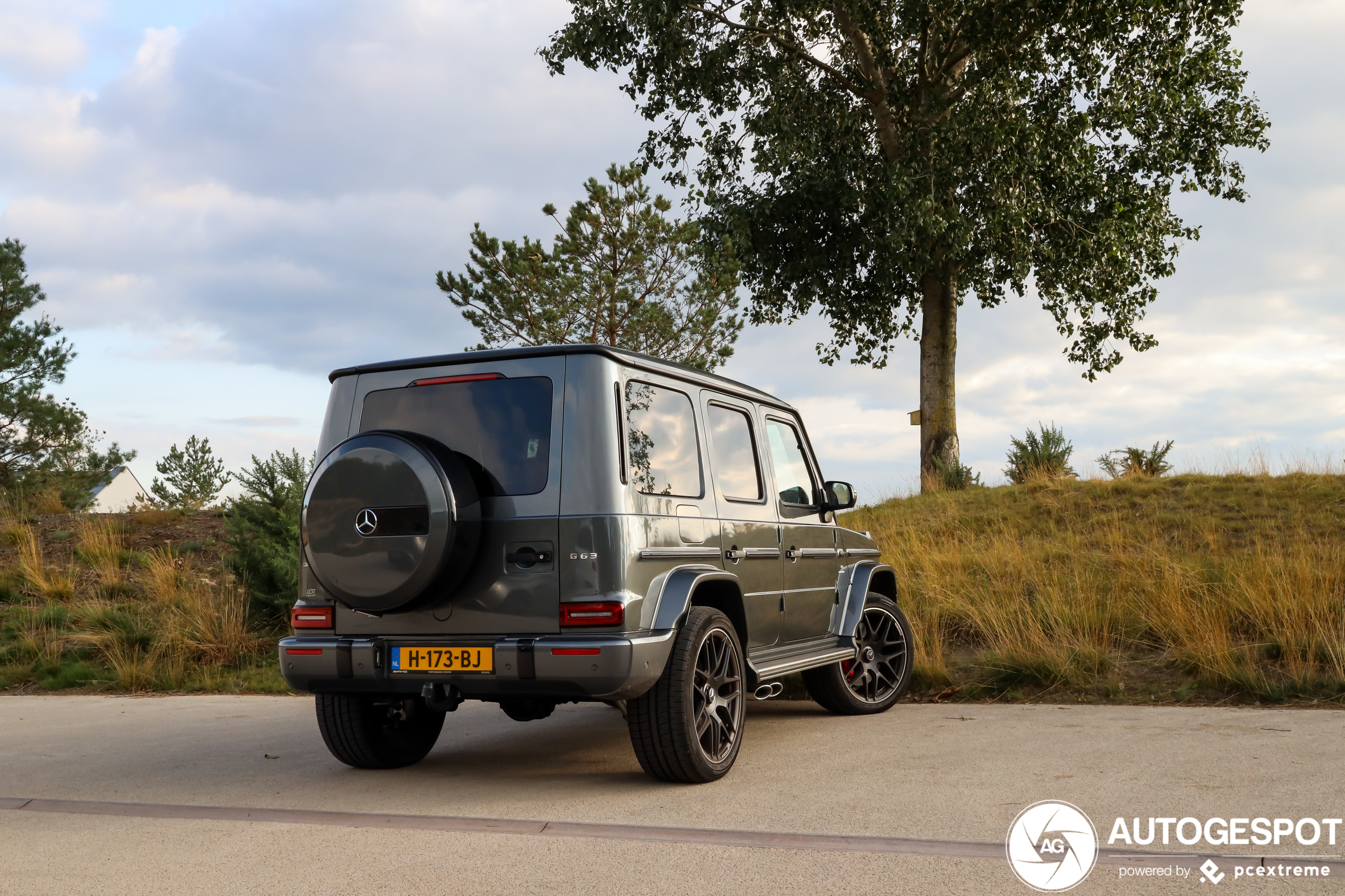 Mercedes-AMG G 63 W463 2018