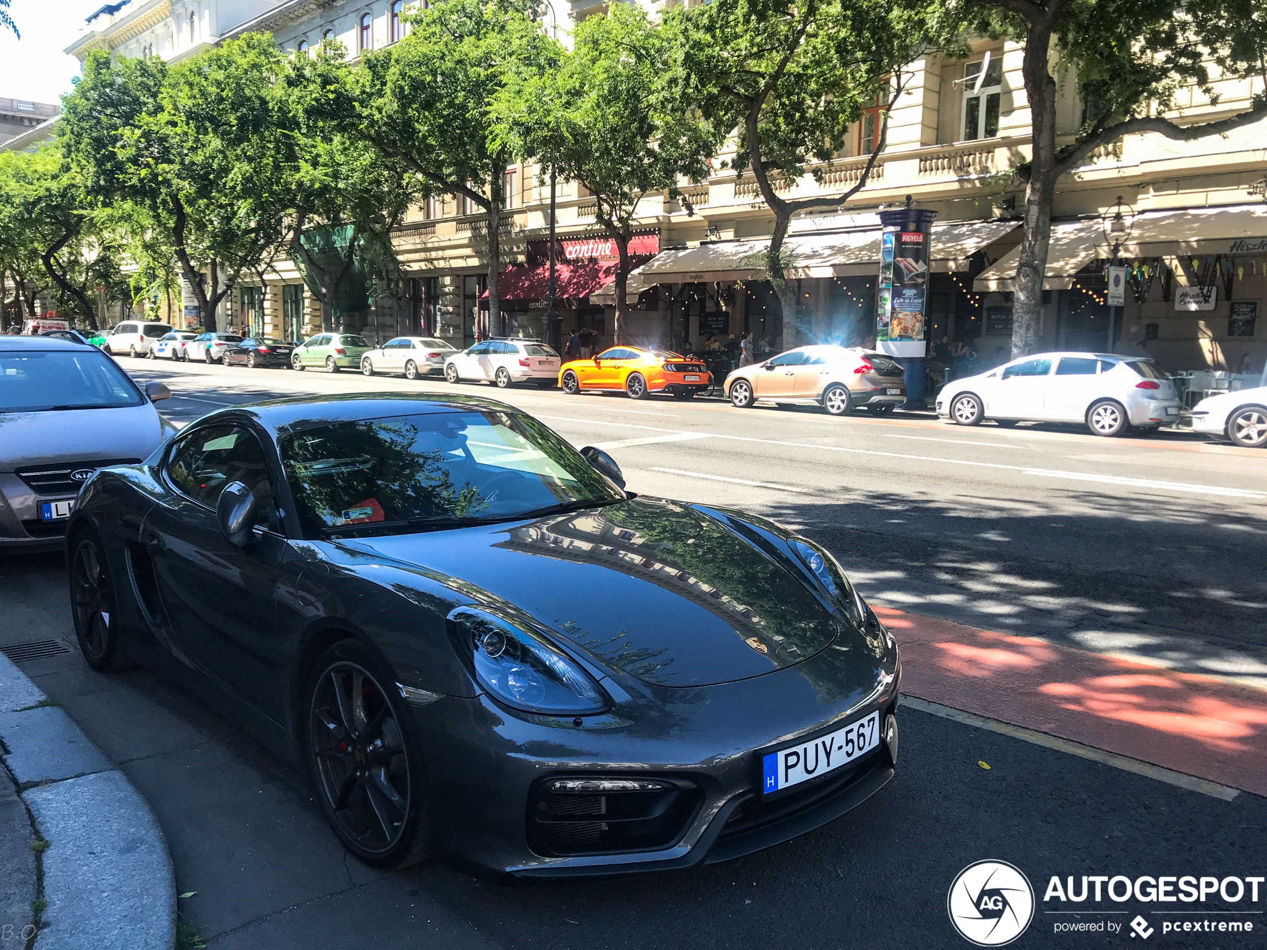 Porsche 981 Cayman GTS