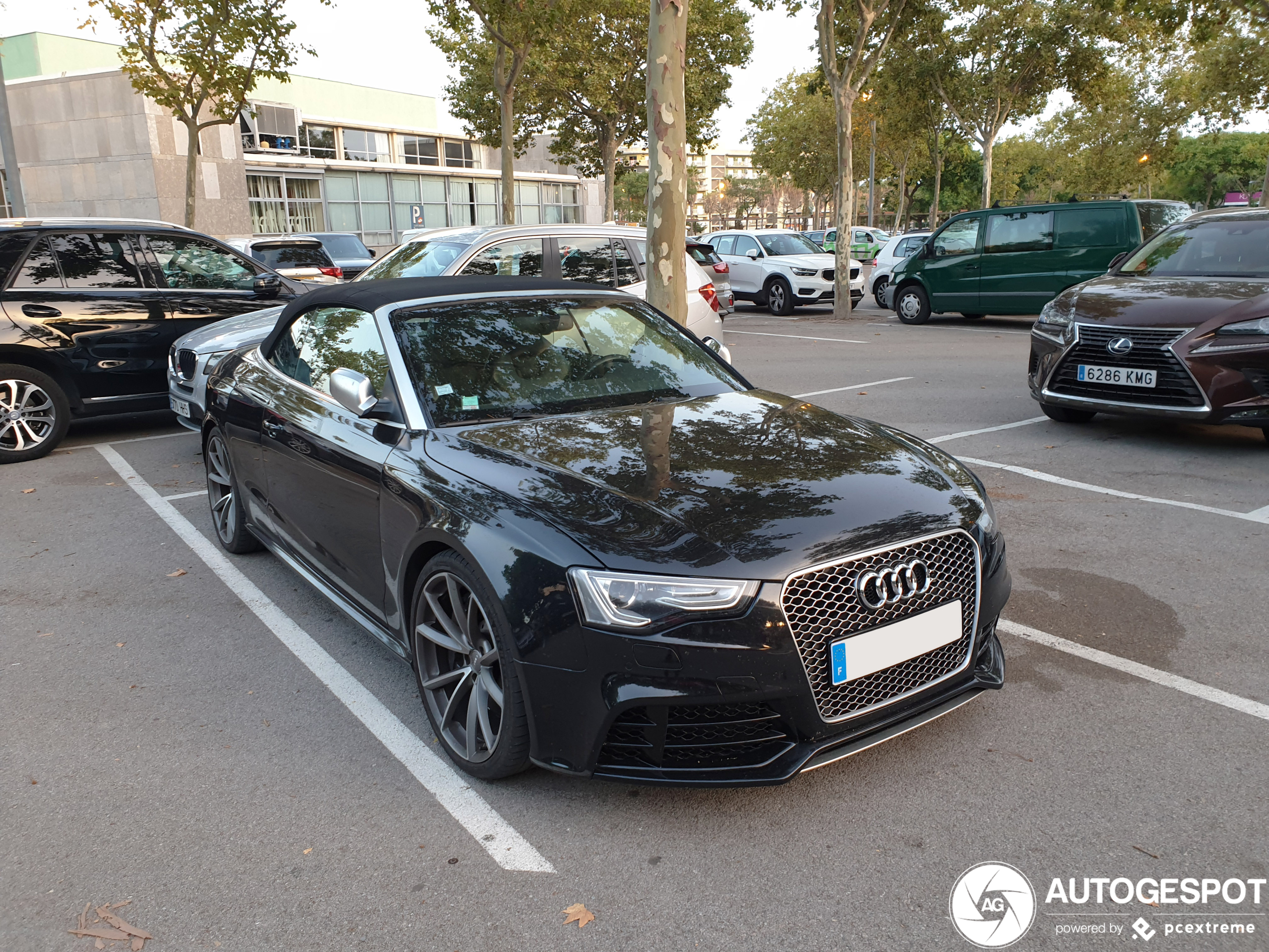 Audi RS5 Cabriolet B8