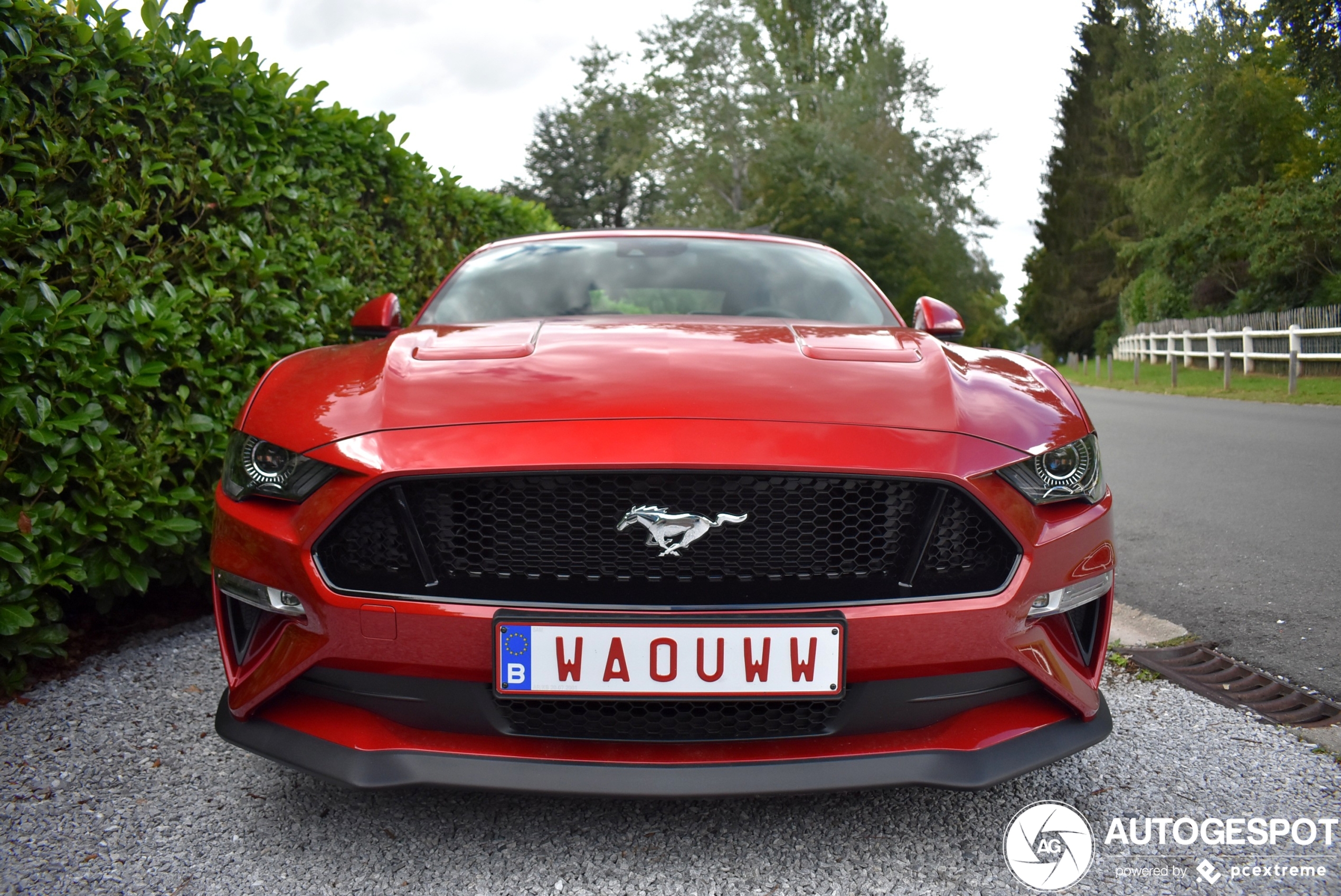 Ford Mustang GT Convertible 2018