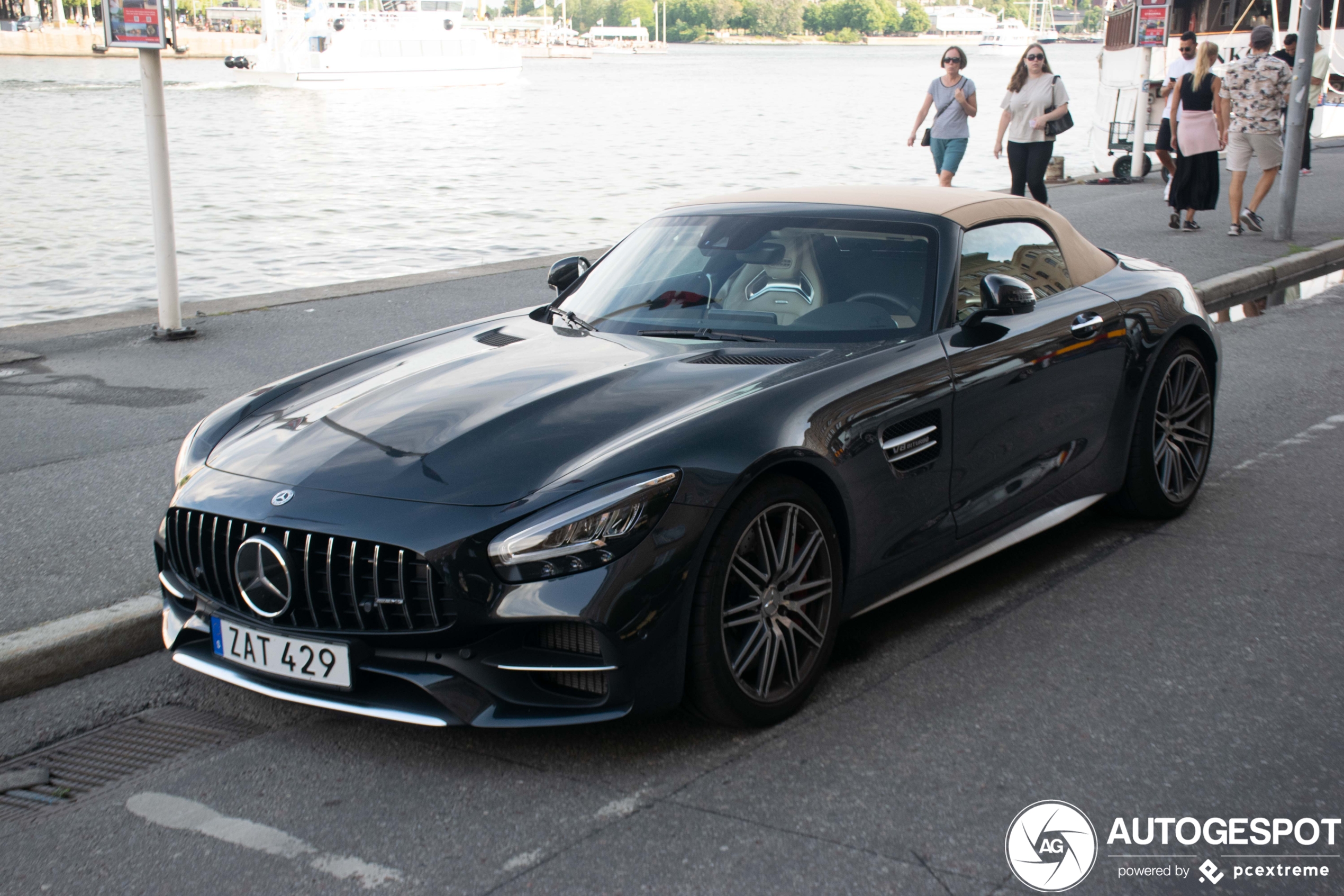 Mercedes-AMG GT C Roadster R190 2019