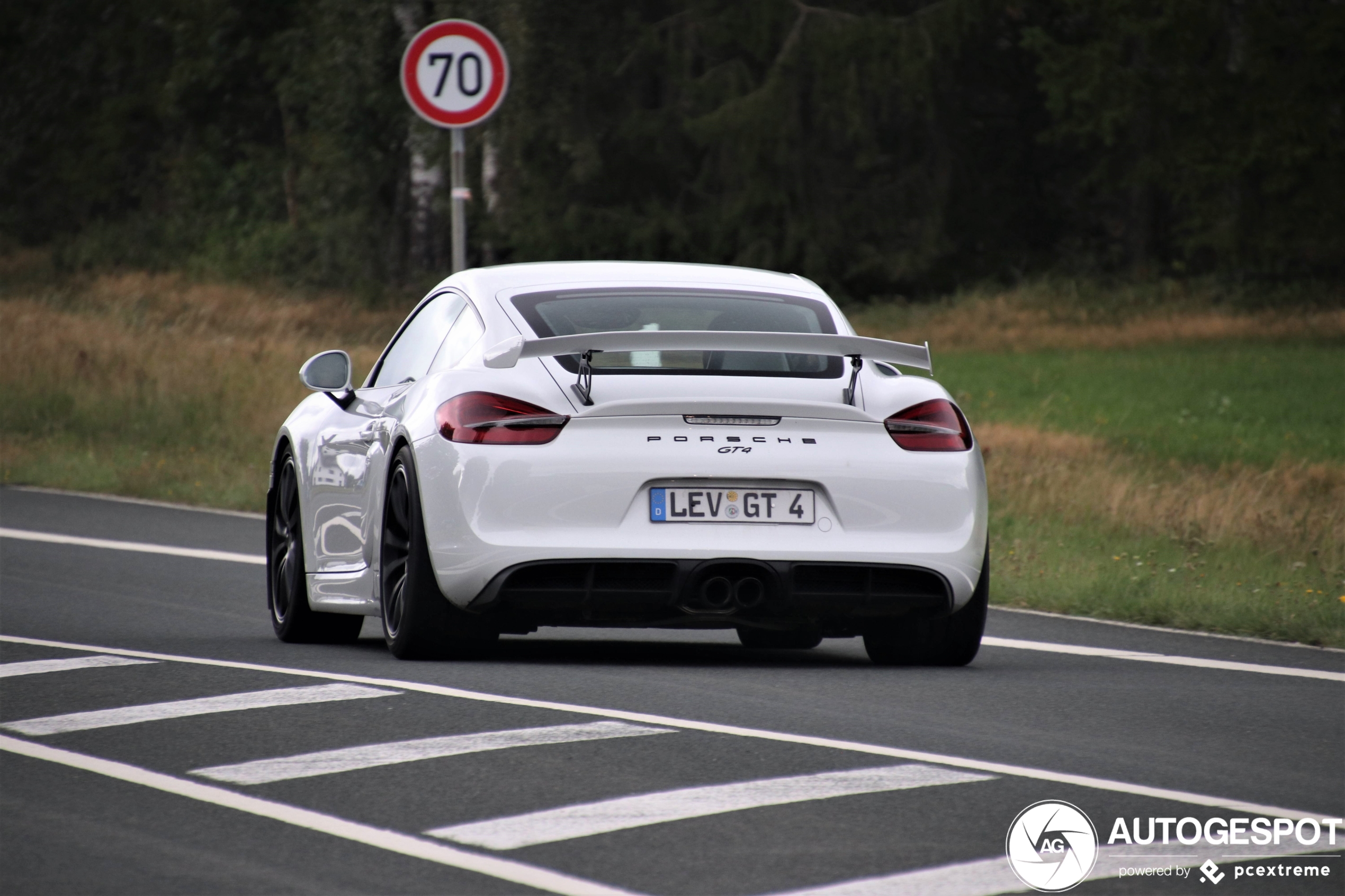 Porsche 981 Cayman GT4