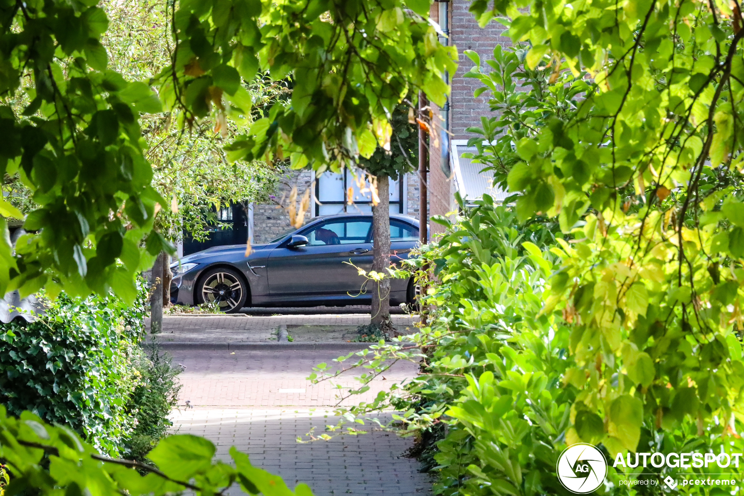 BMW M4 F83 Convertible