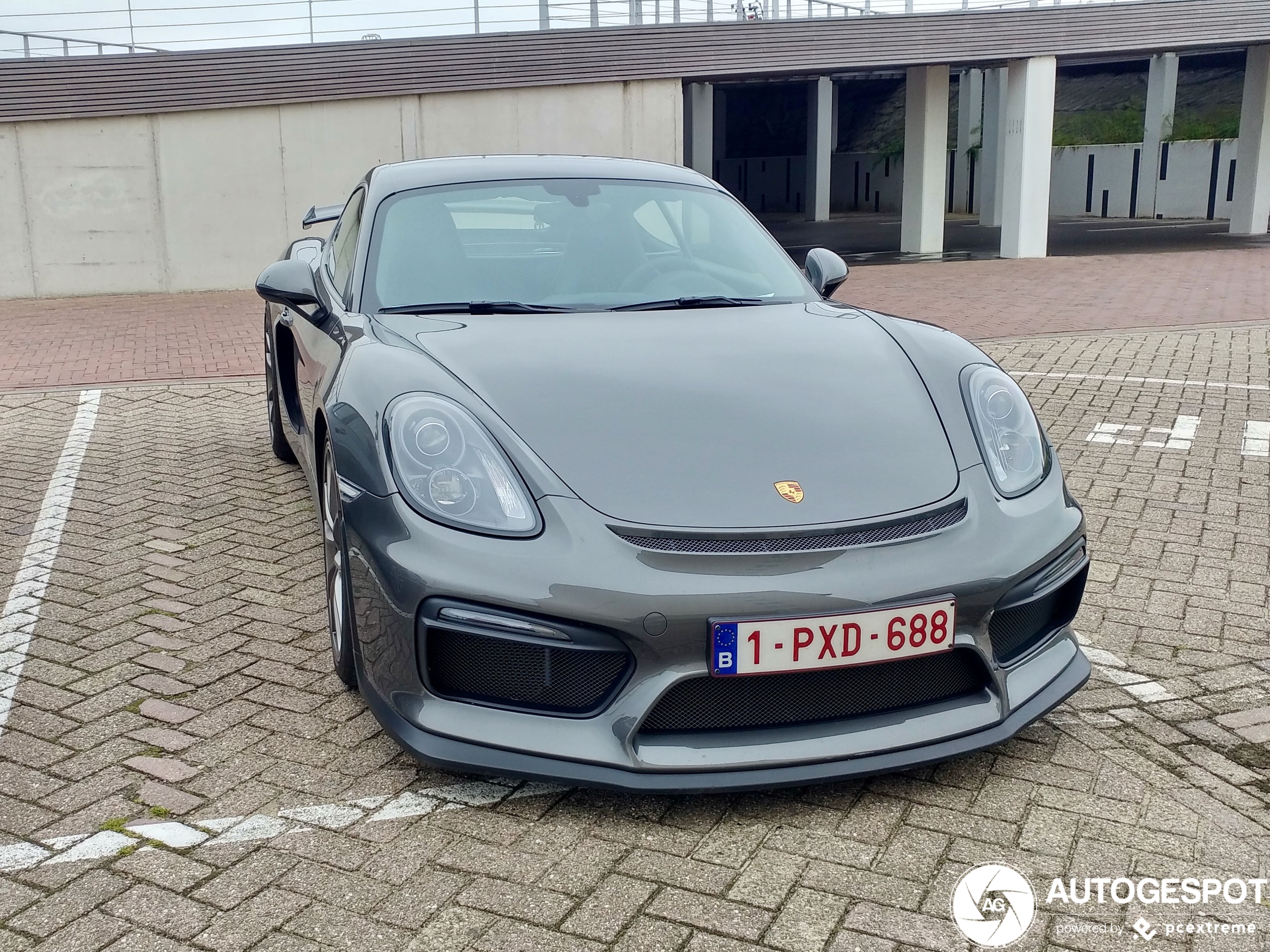 Porsche 981 Cayman GT4