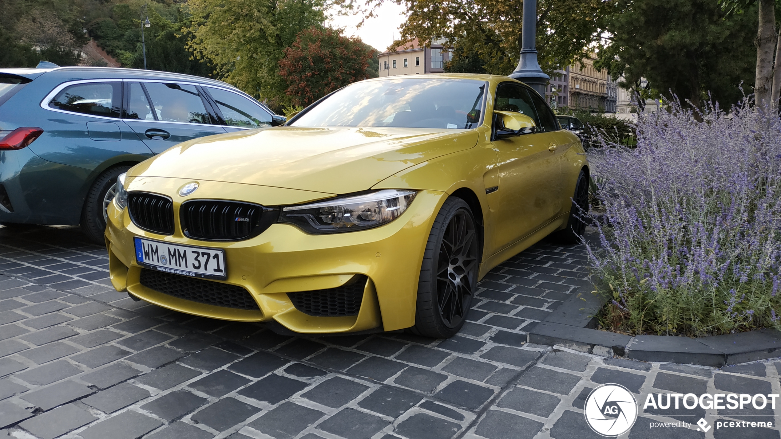 BMW M4 F83 Convertible