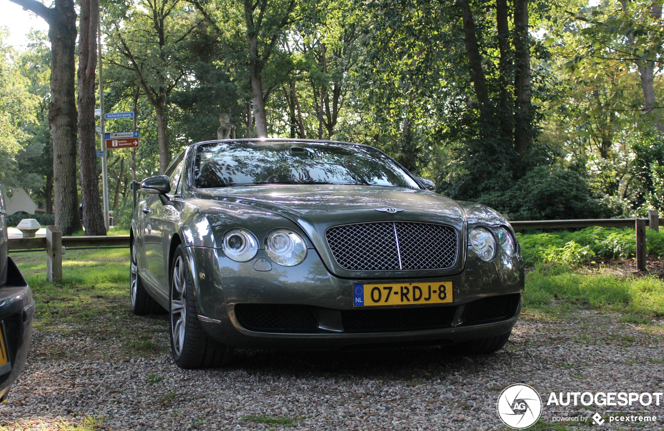 Bentley Continental GTC