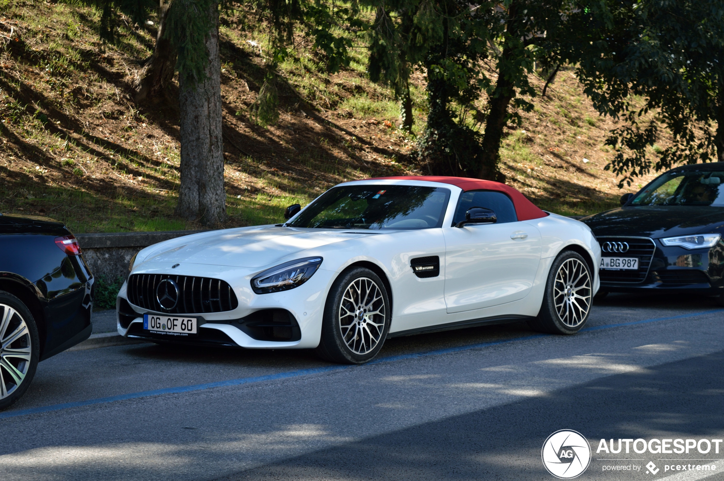 Mercedes-AMG GT Roadster R190 2019