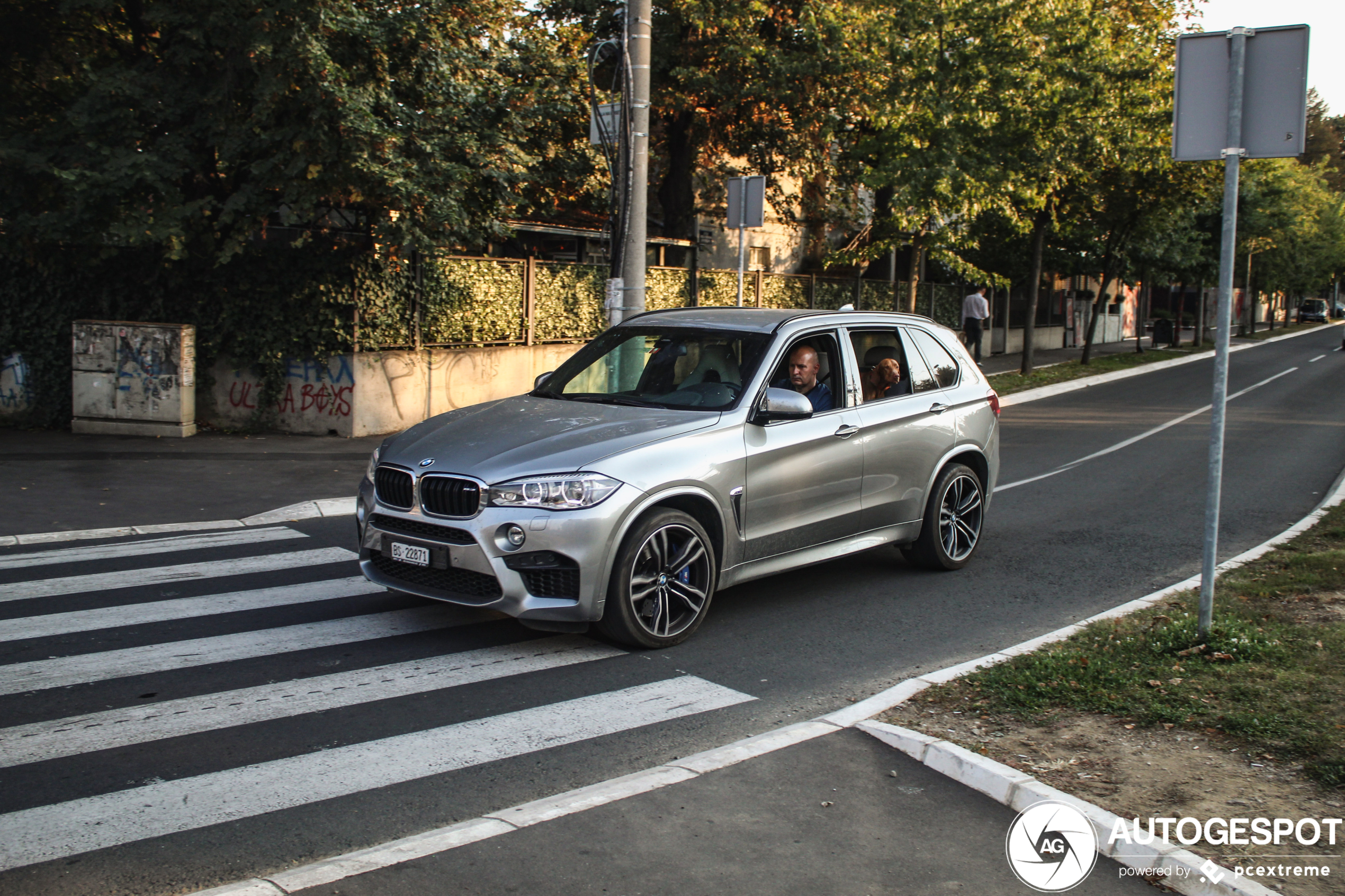 BMW X5 M F85