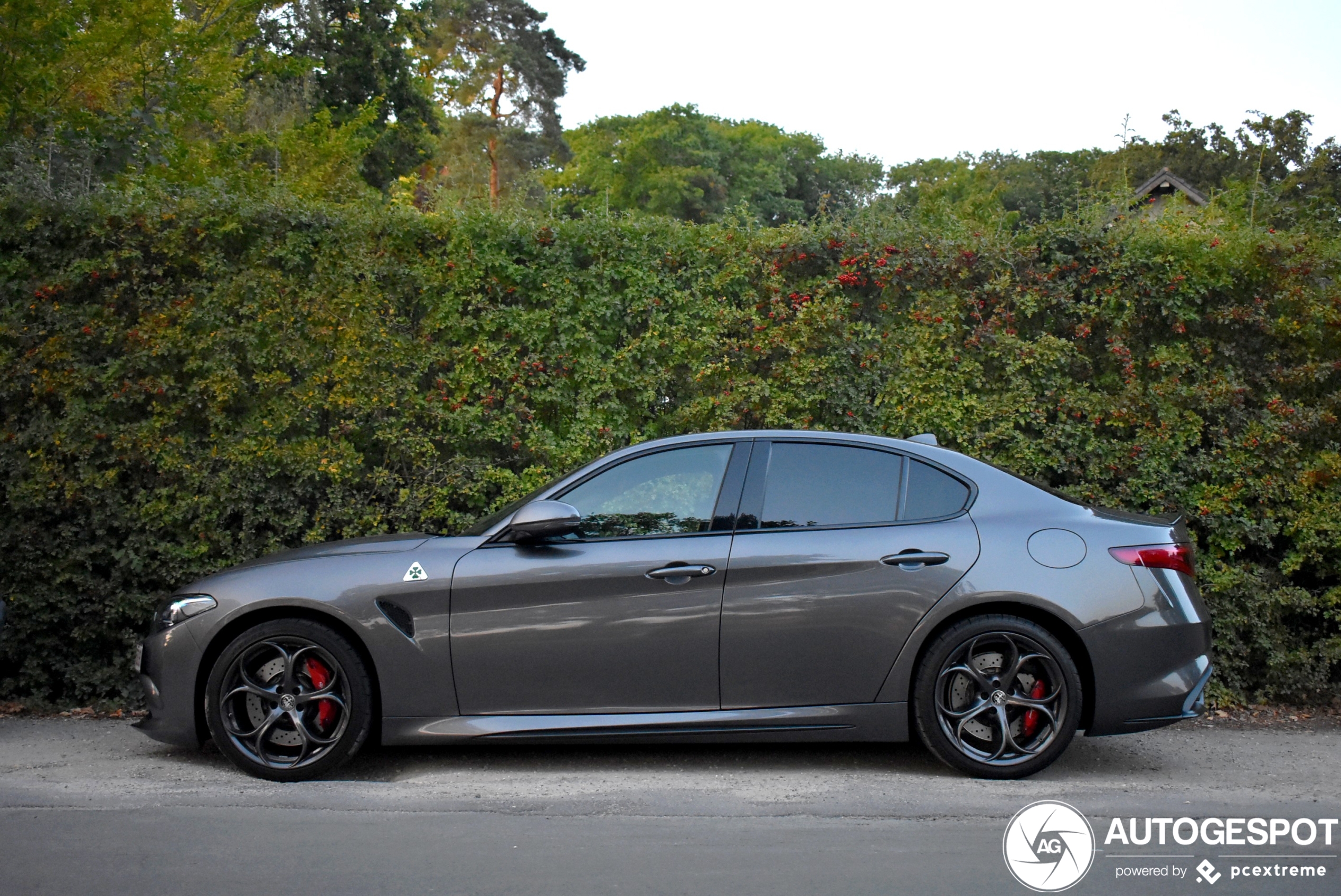 Alfa Romeo Giulia Quadrifoglio