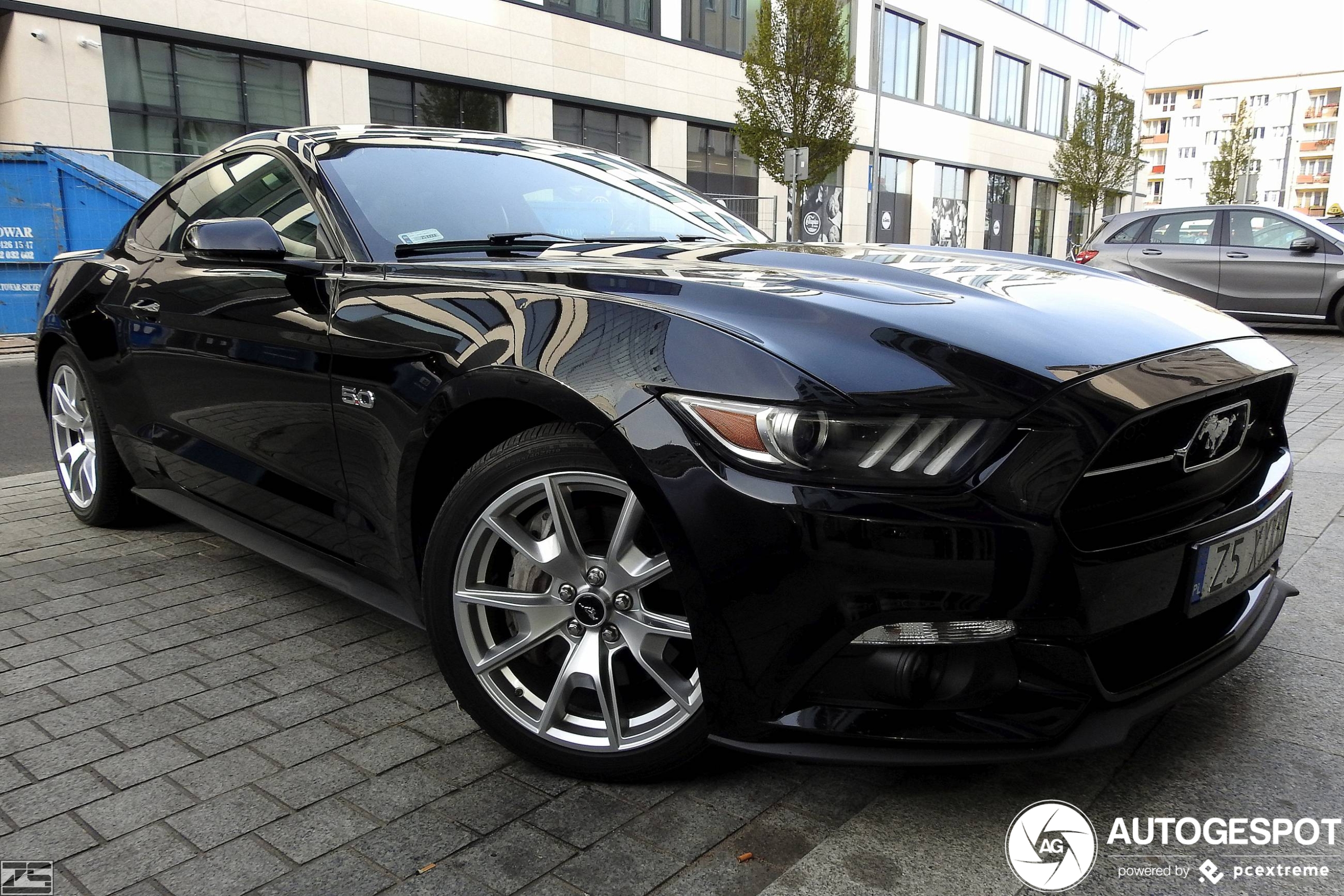 Ford Mustang GT 50th Anniversary Edition