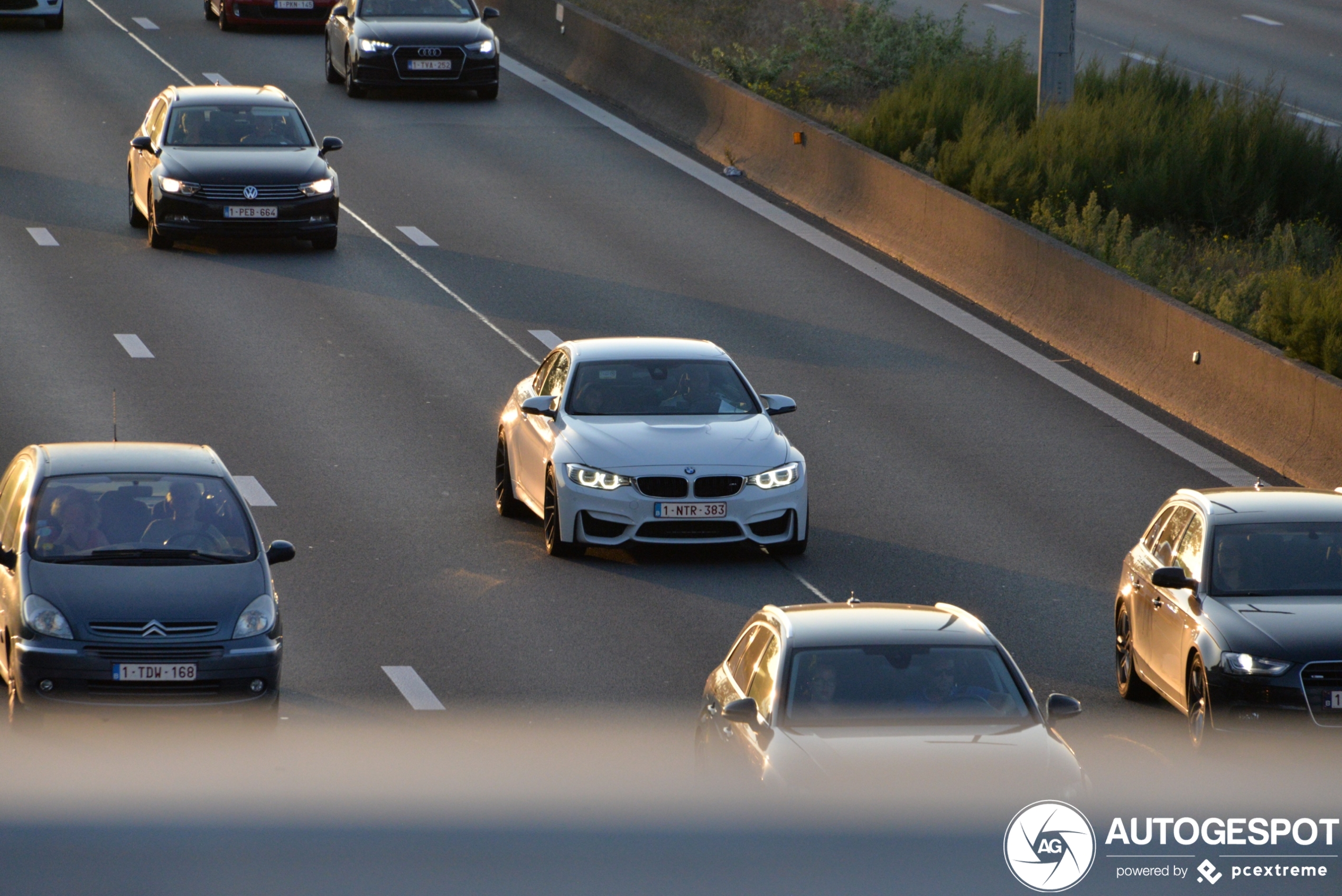 BMW M4 F83 Convertible