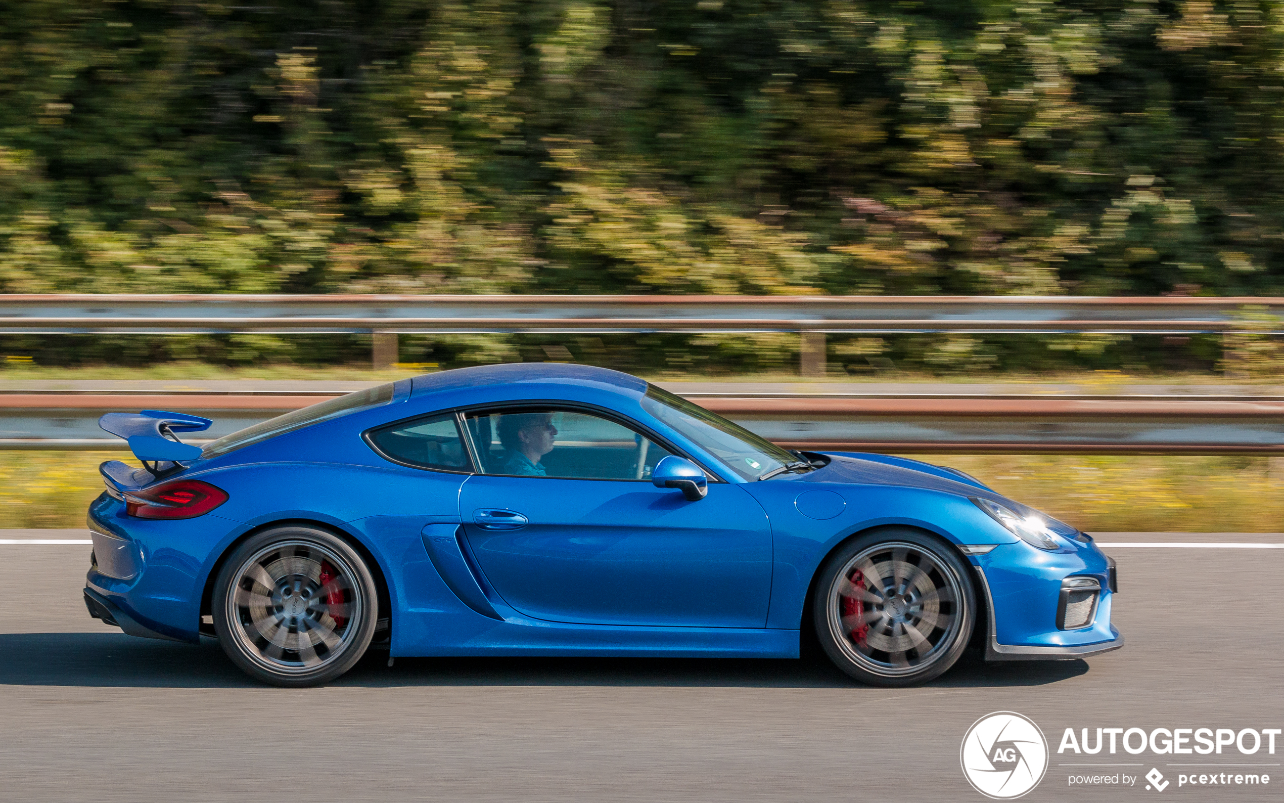 Porsche 981 Cayman GT4