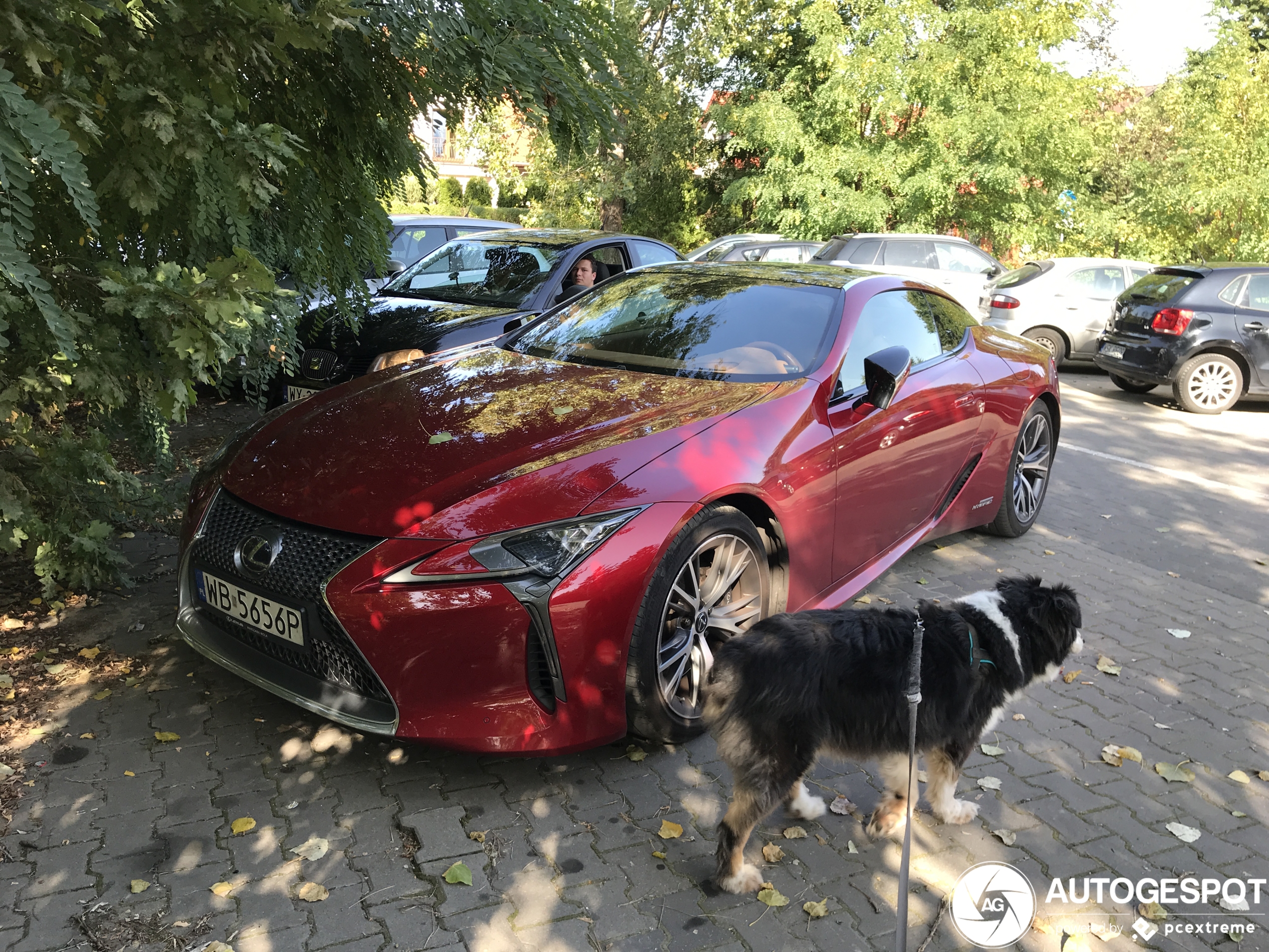 Lexus LC 500h