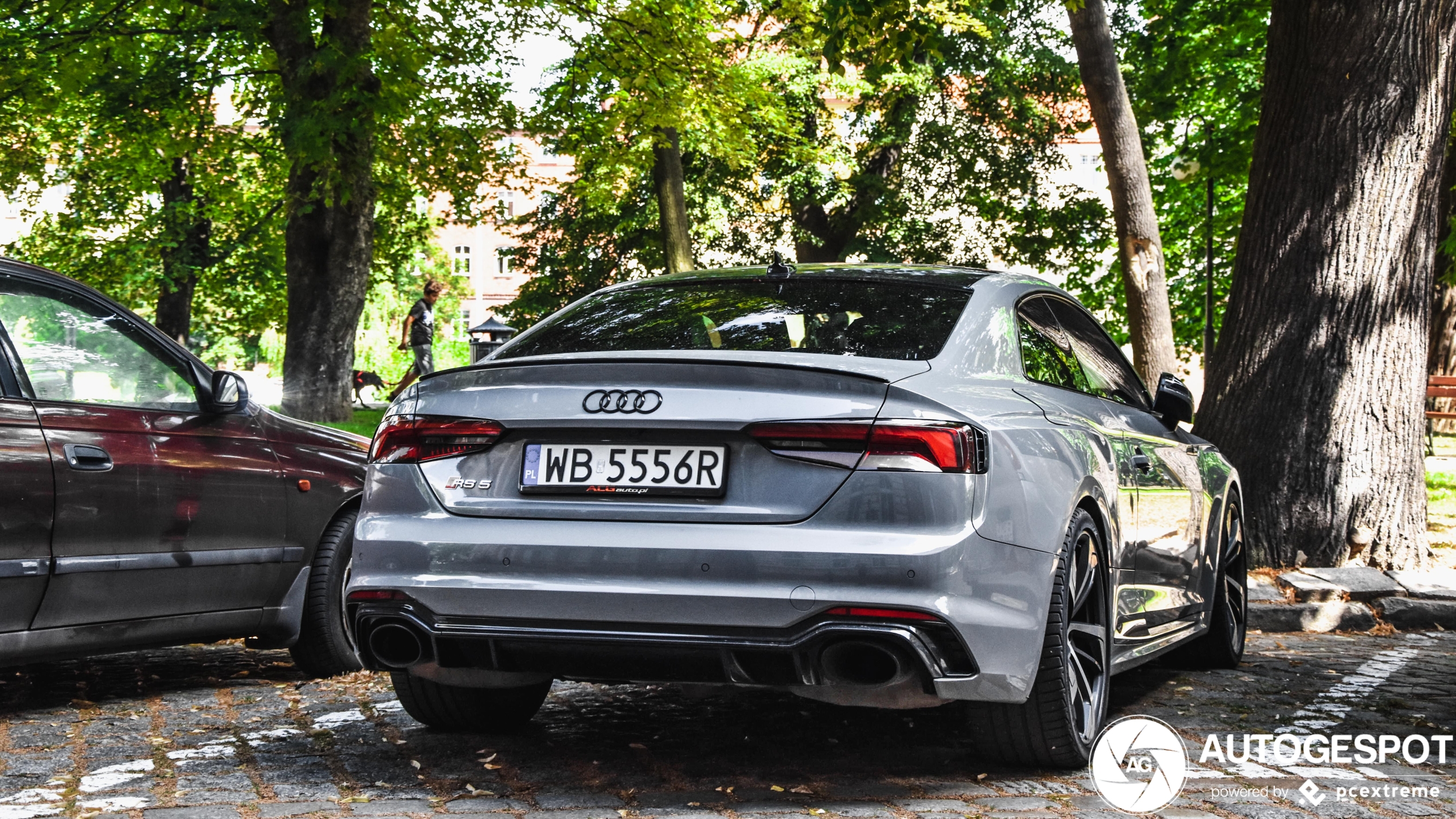 Audi RS5 B9