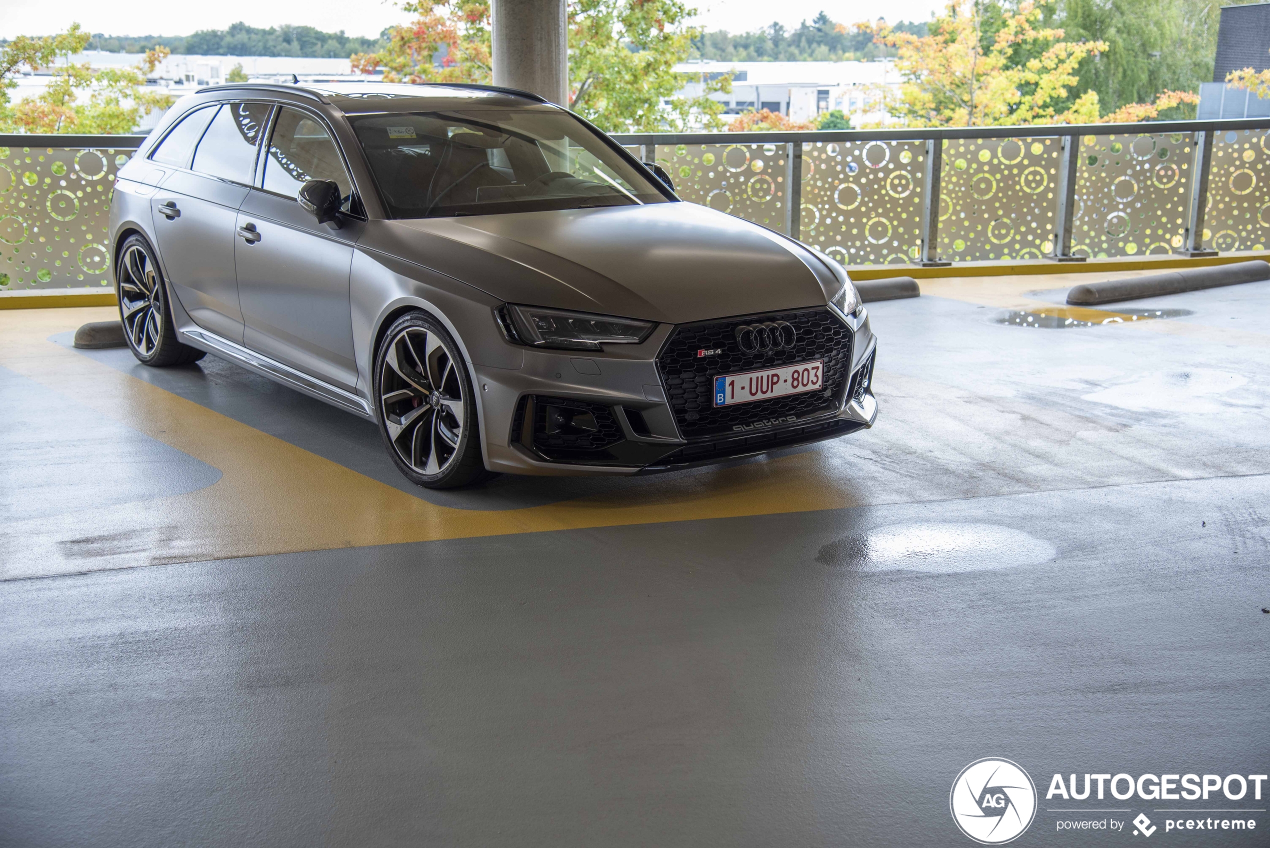 Audi RS4 Avant B9