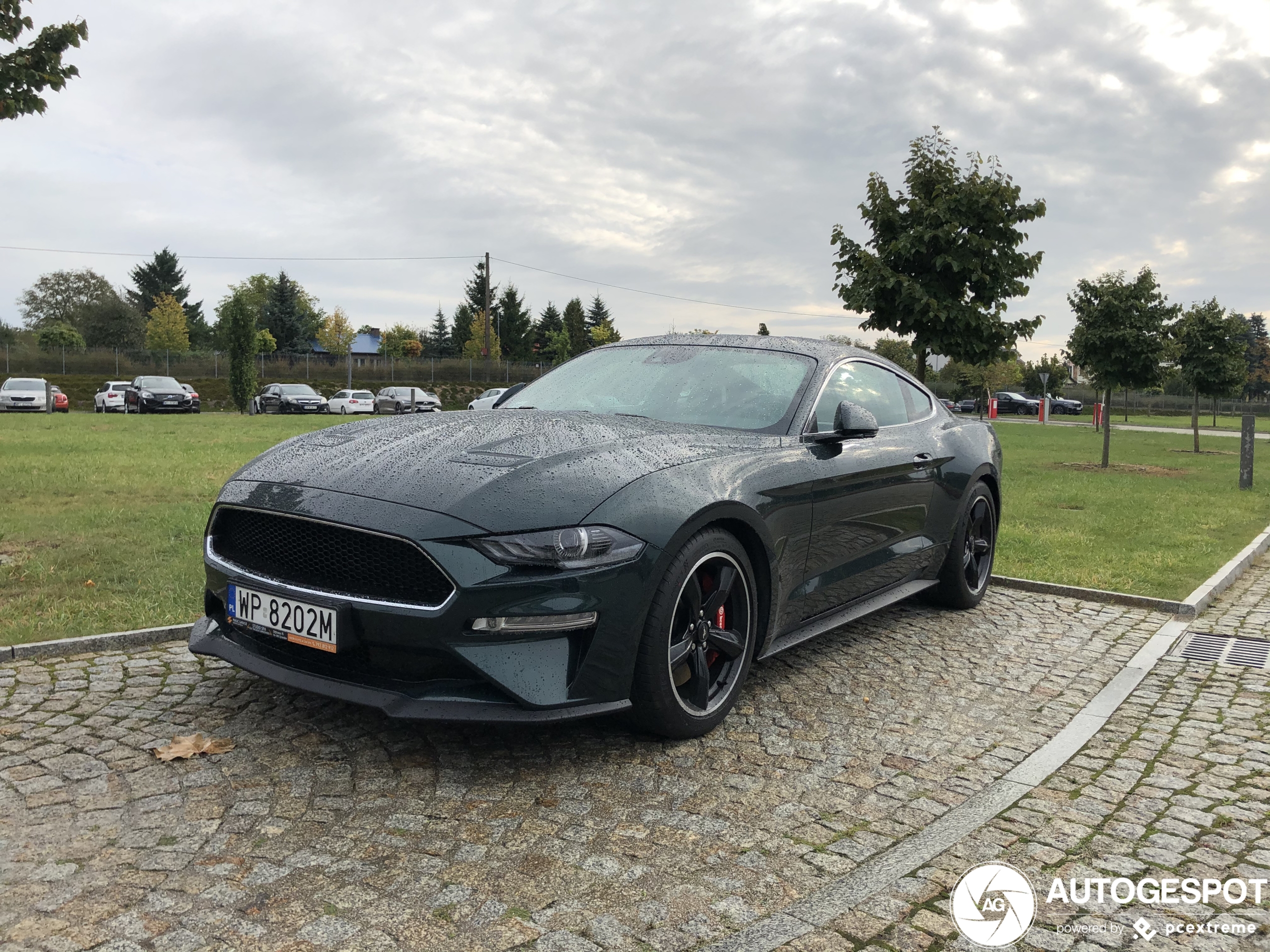 Ford Mustang Bullitt 2019