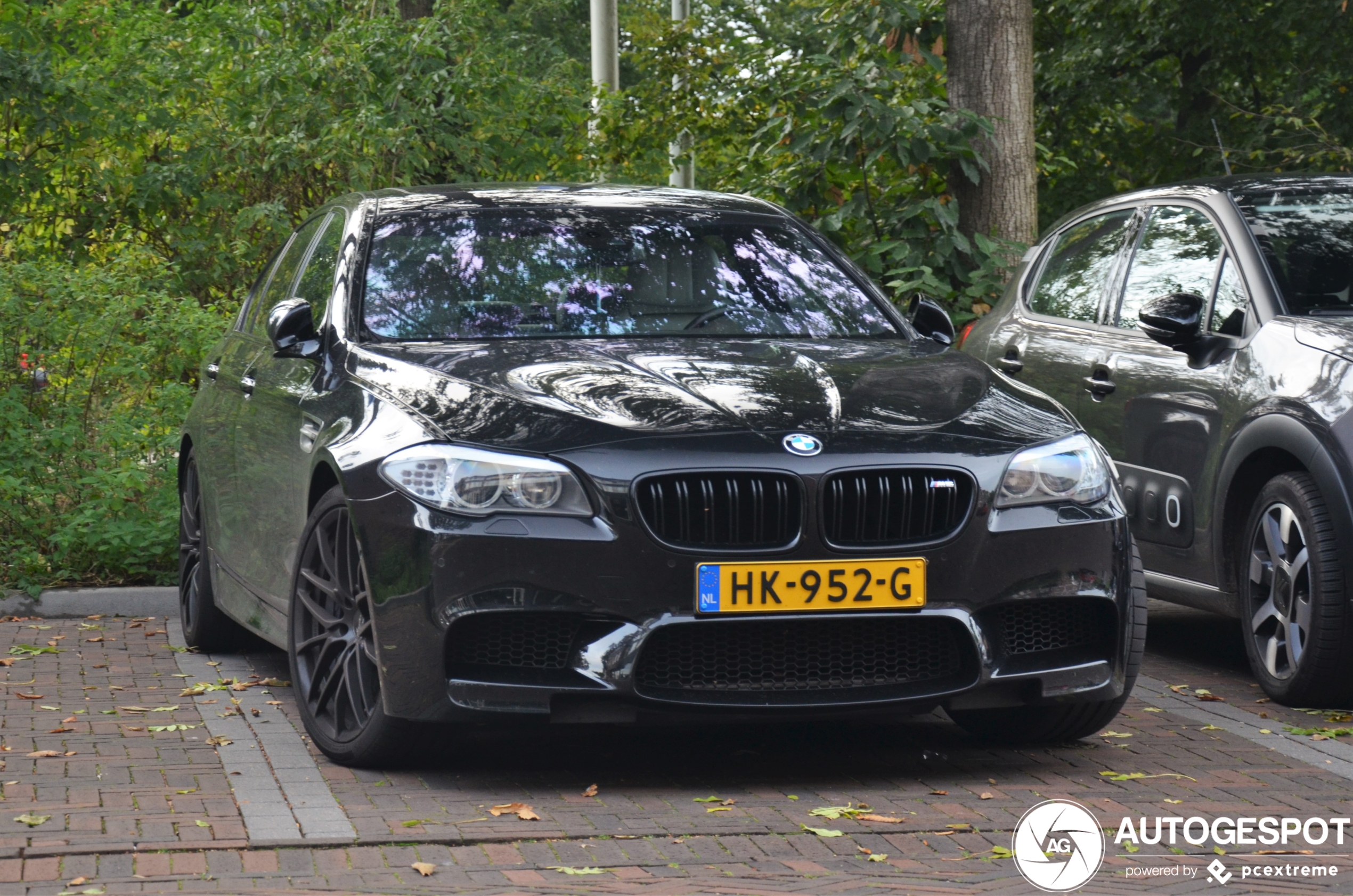 BMW M5 F10 2011