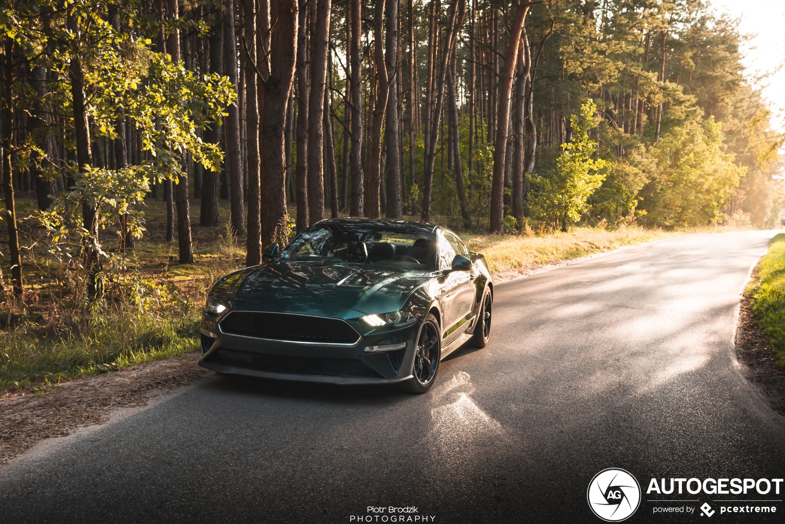 Ford Mustang Bullitt 2019