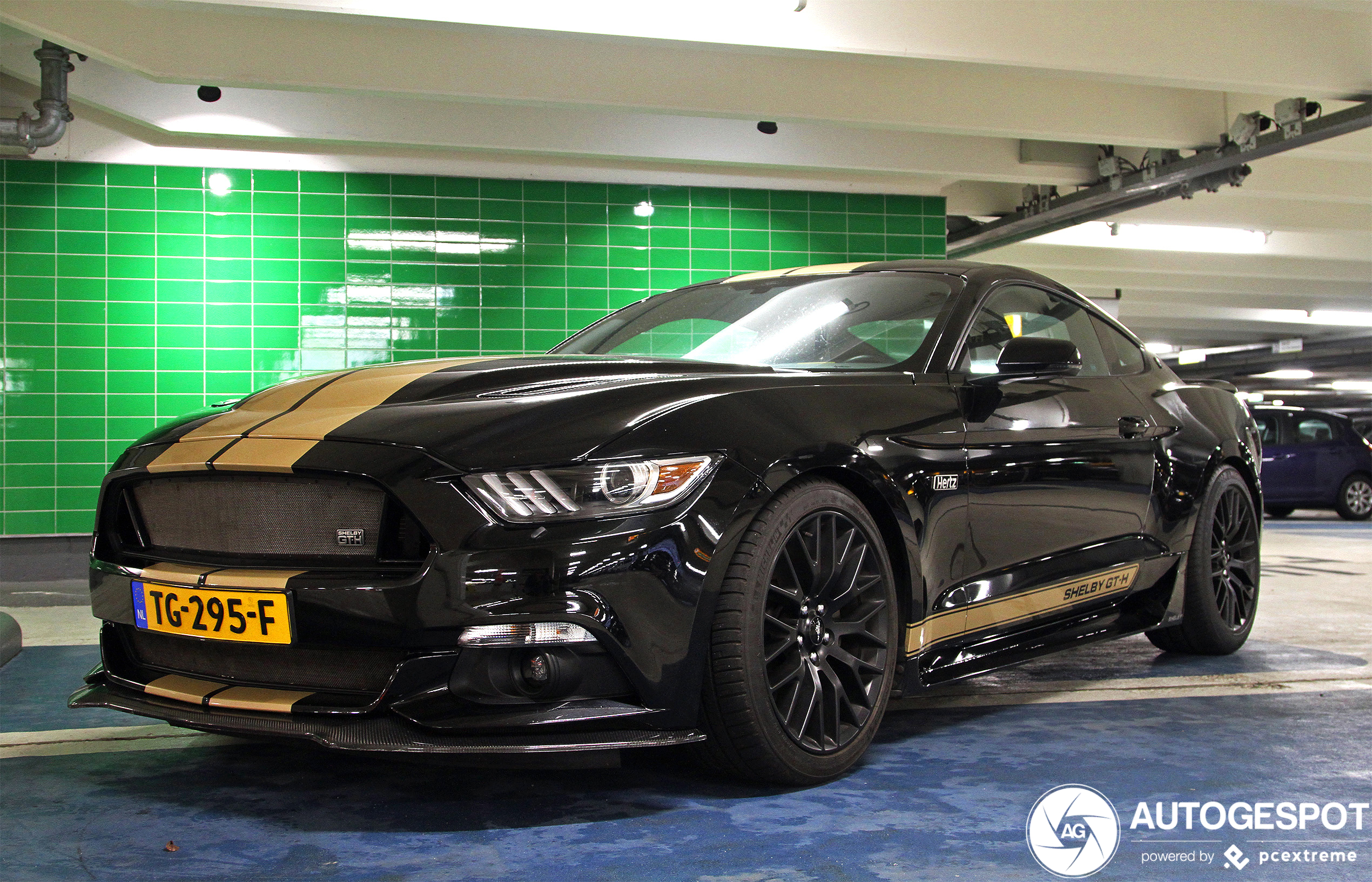 Ford Mustang Shelby GT-H 2016