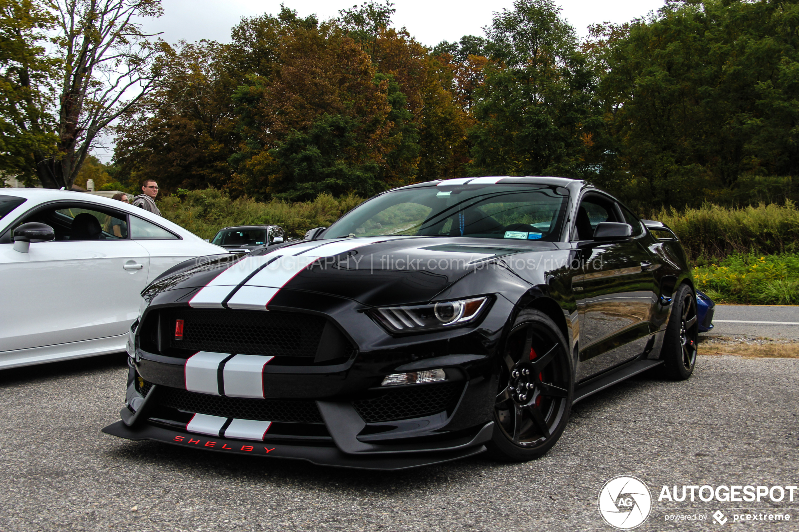 Ford Mustang Shelby GT350R 2015