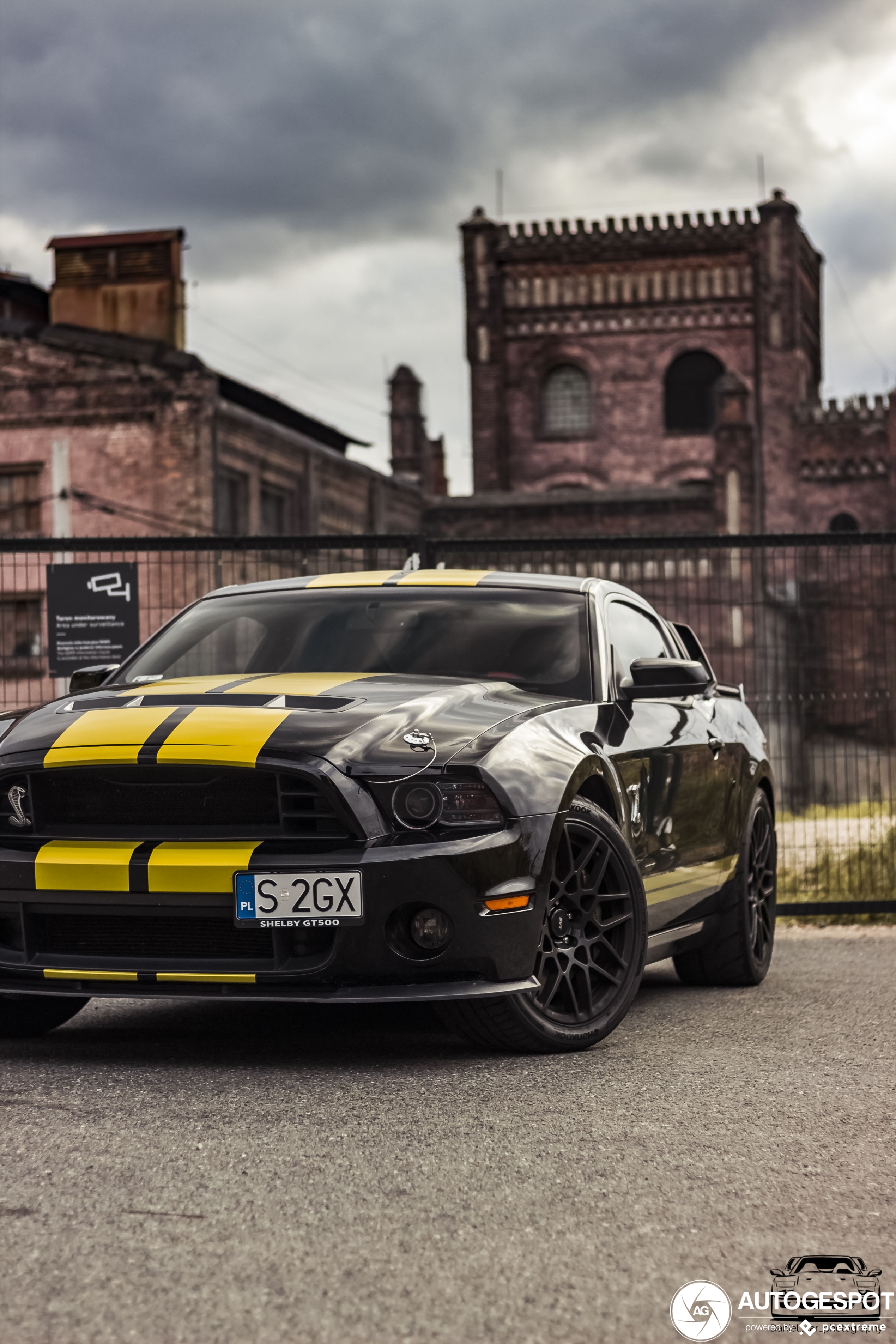 Ford Mustang Shelby GT500 2013