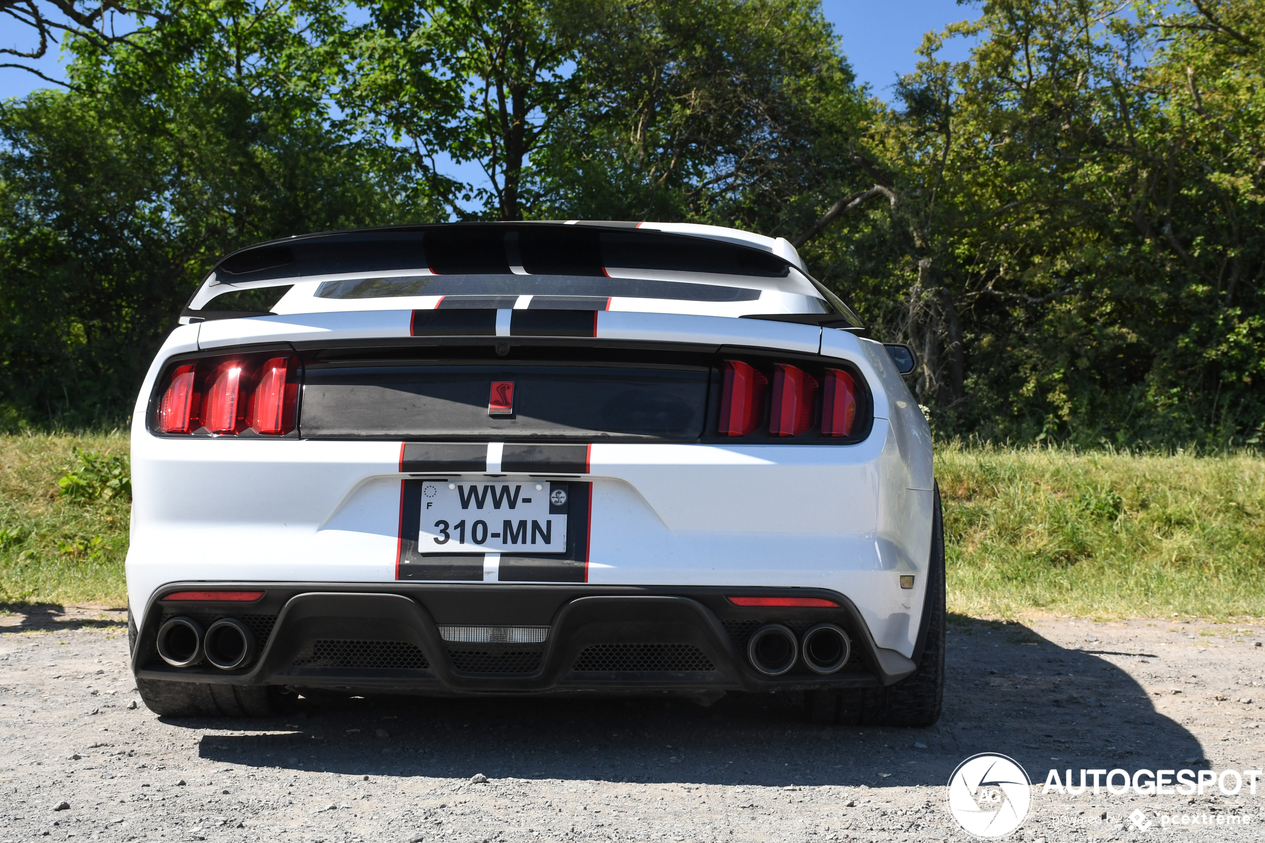 Ford Mustang Shelby GT350R 2015