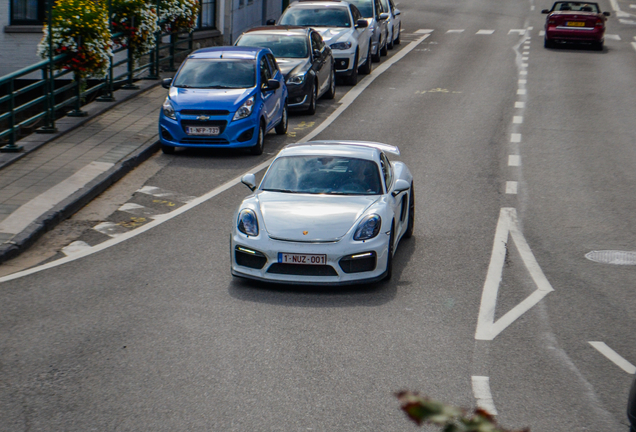 Porsche 981 Cayman GT4