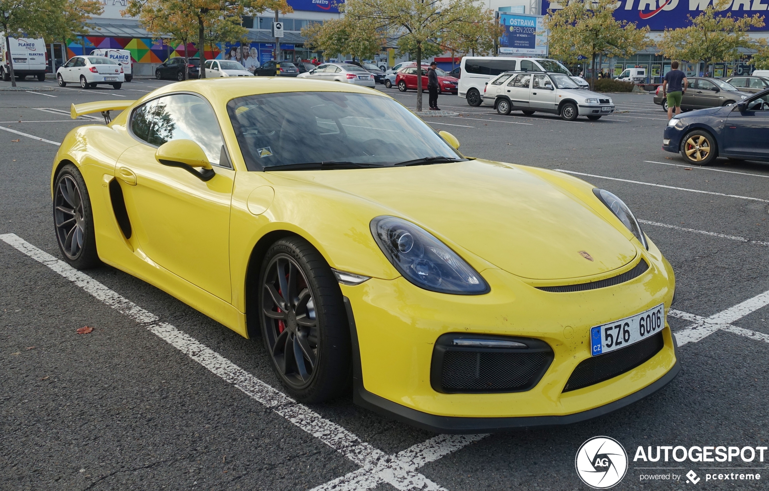 Porsche 981 Cayman GT4