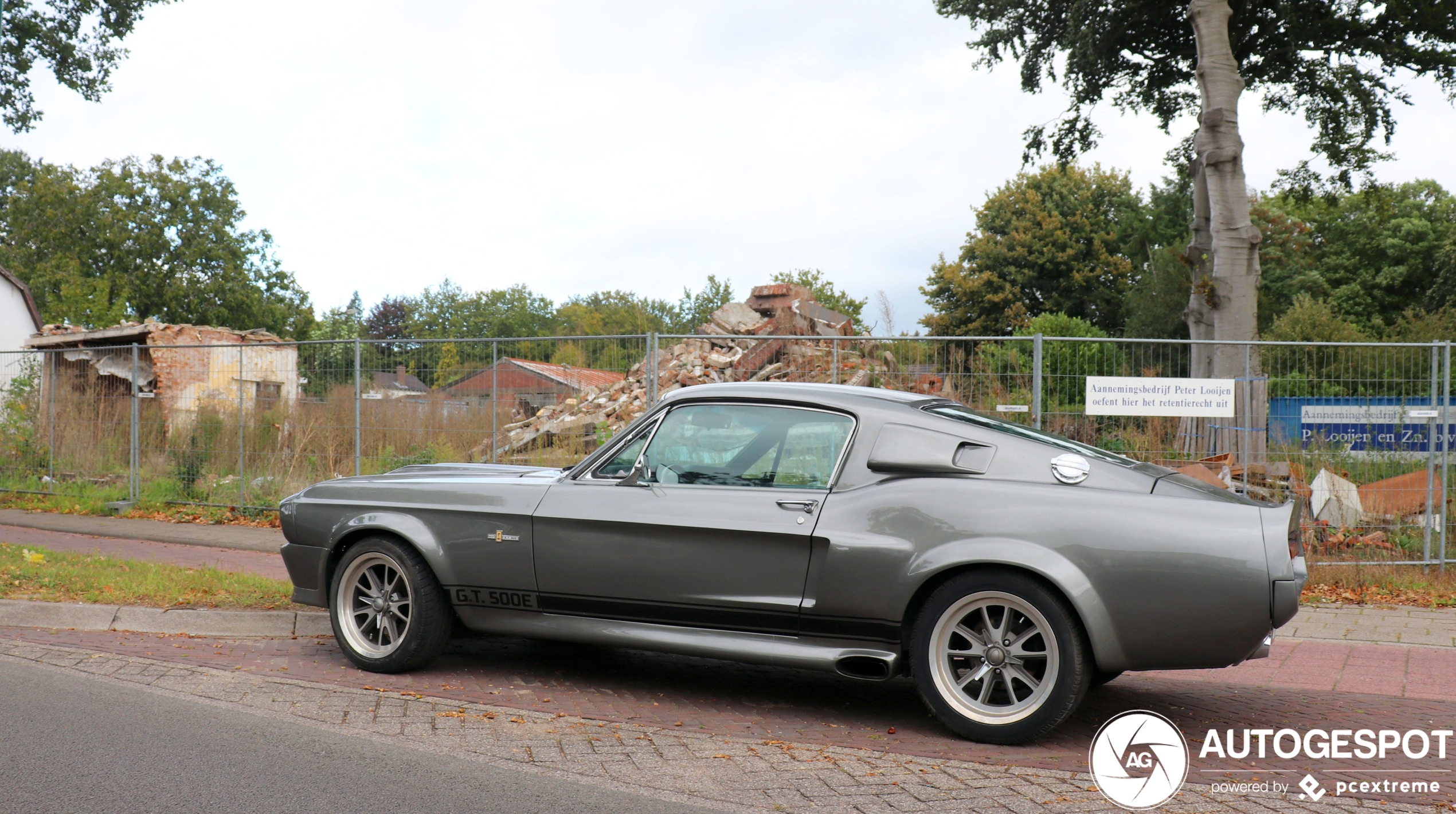 Ford Mustang Shelby G.T. 500E Eleanor