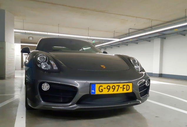 Porsche 981 Cayman S