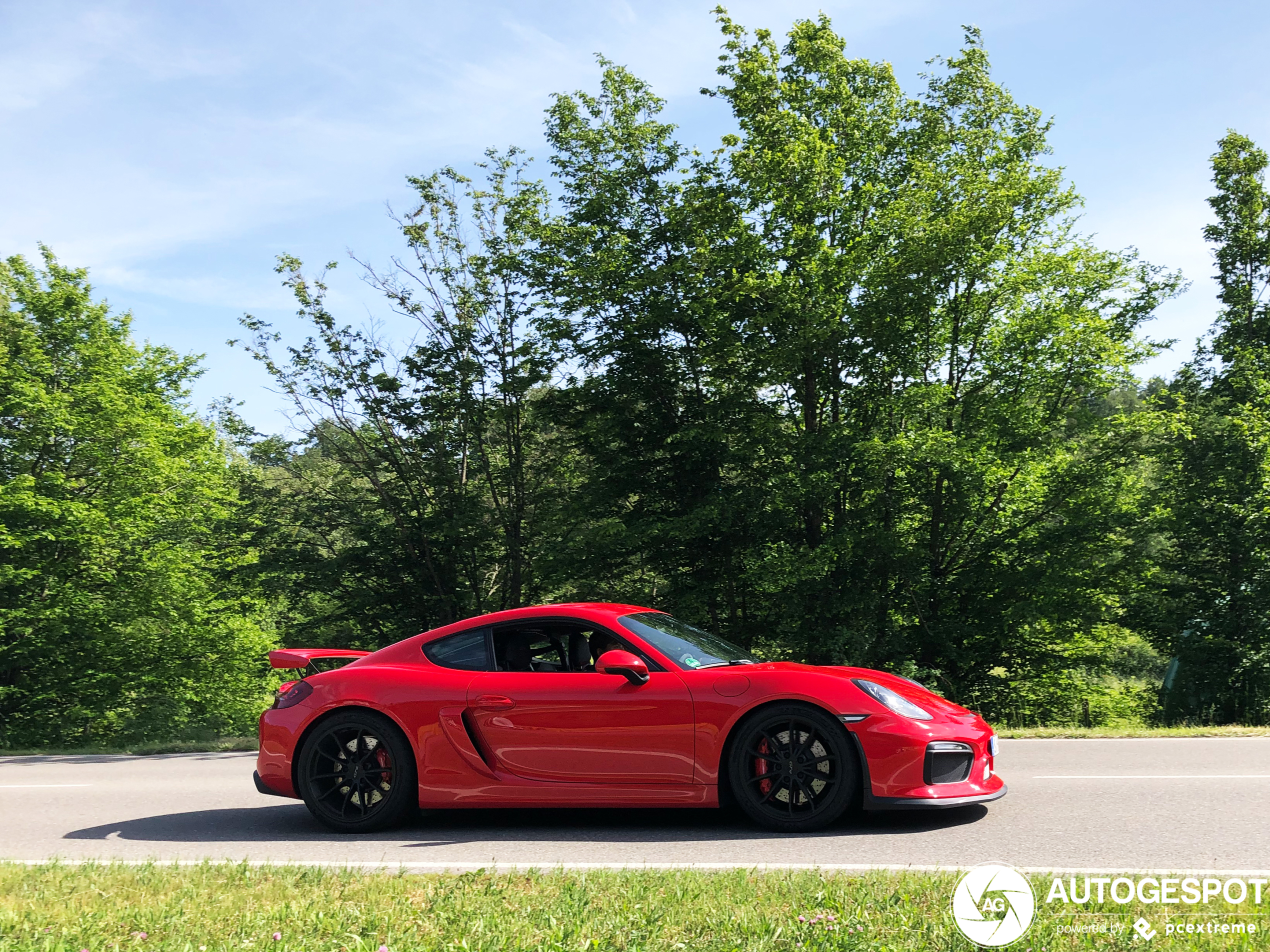 Porsche 981 Cayman GT4