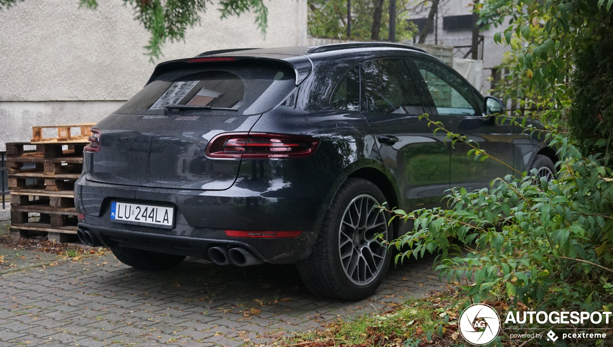 Porsche 95B Macan GTS