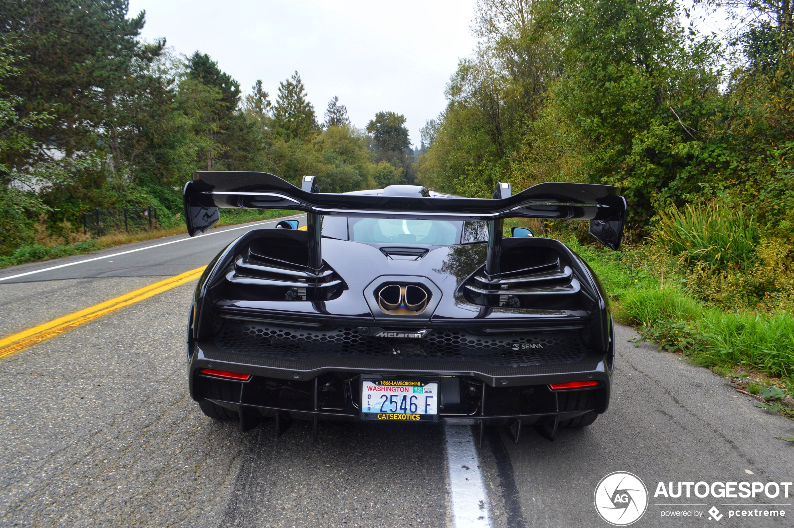 McLaren Senna