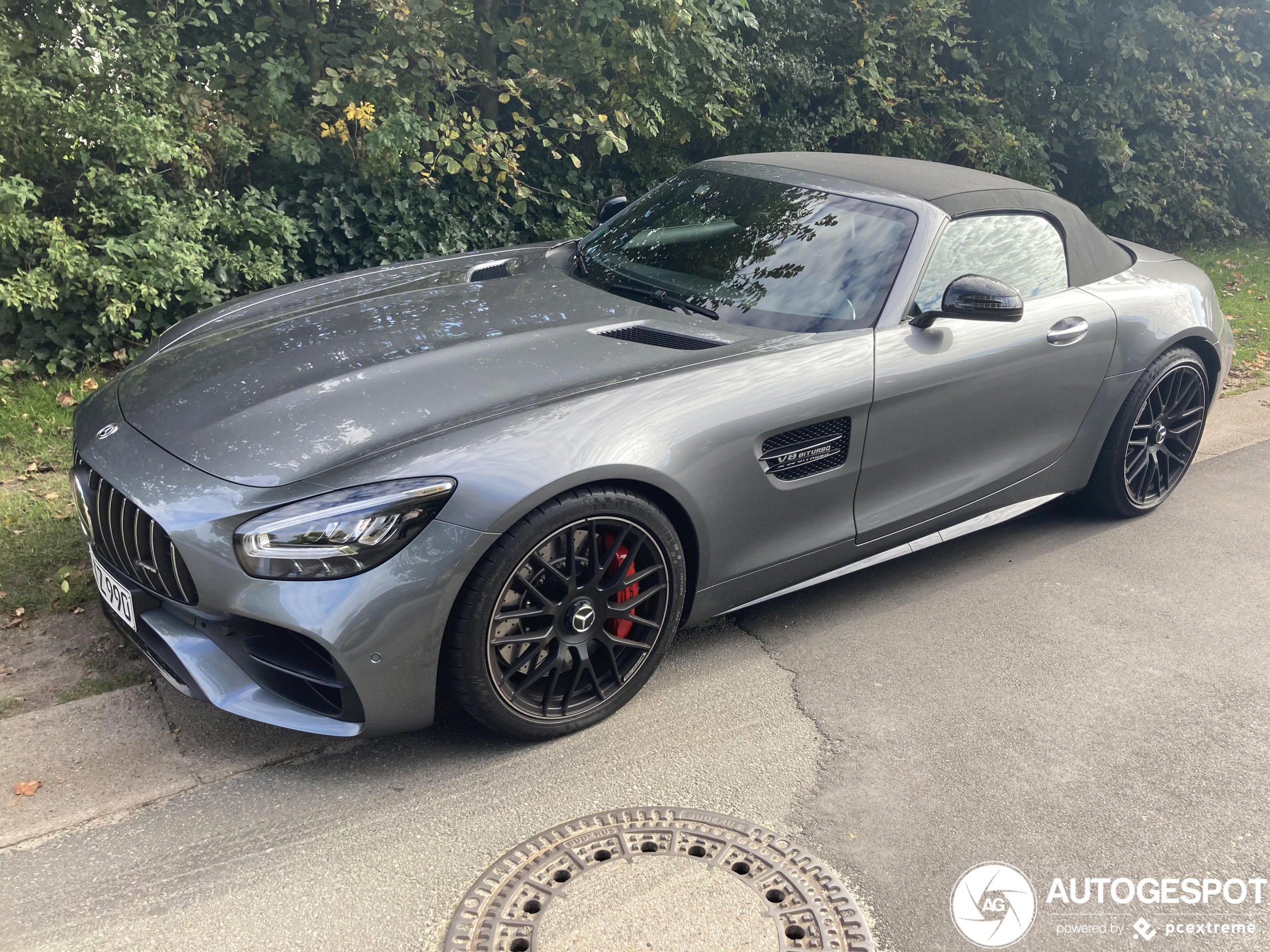 Mercedes-AMG GT C Roadster R190 2019