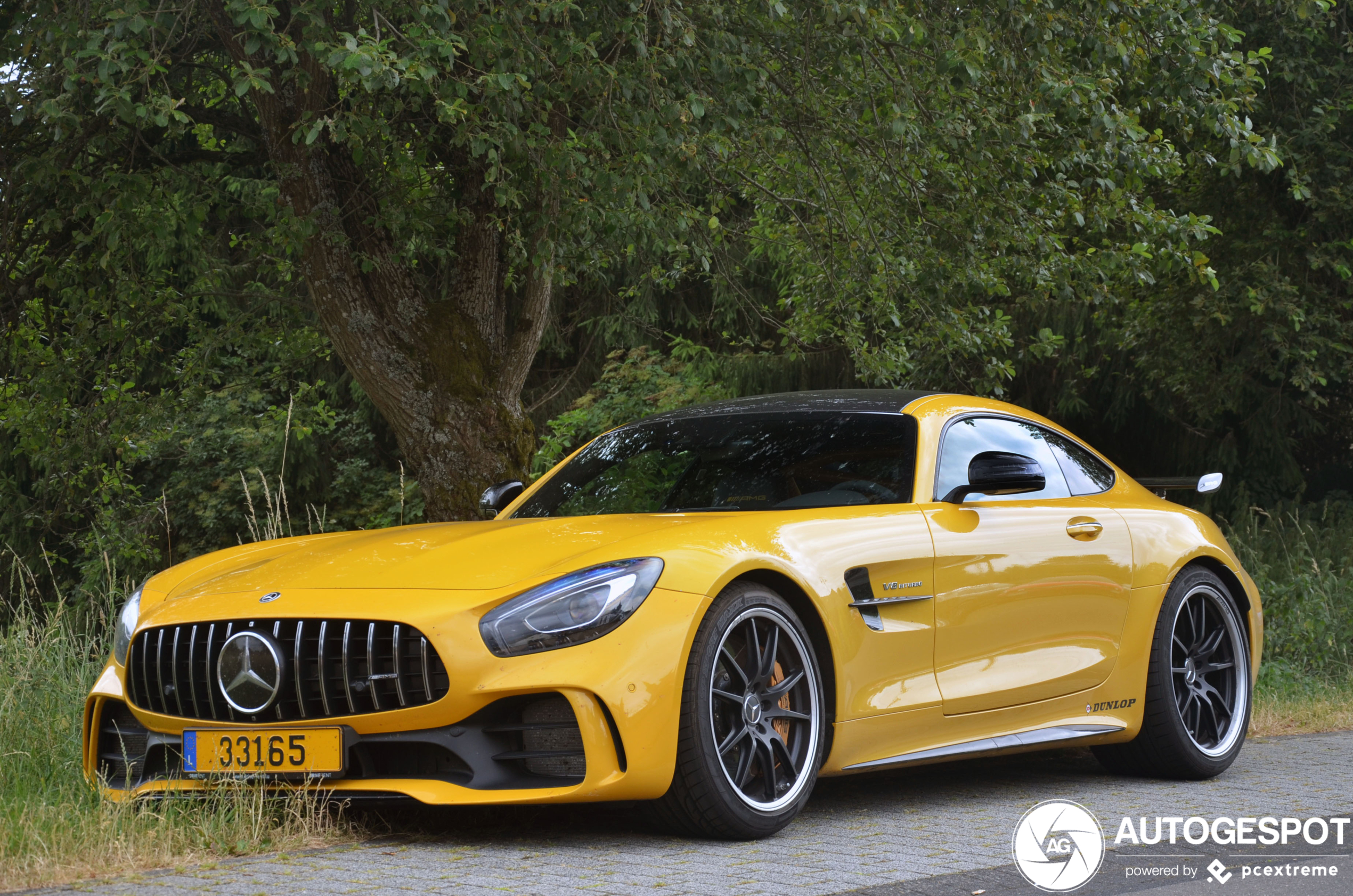 Mercedes-AMG GT R C190