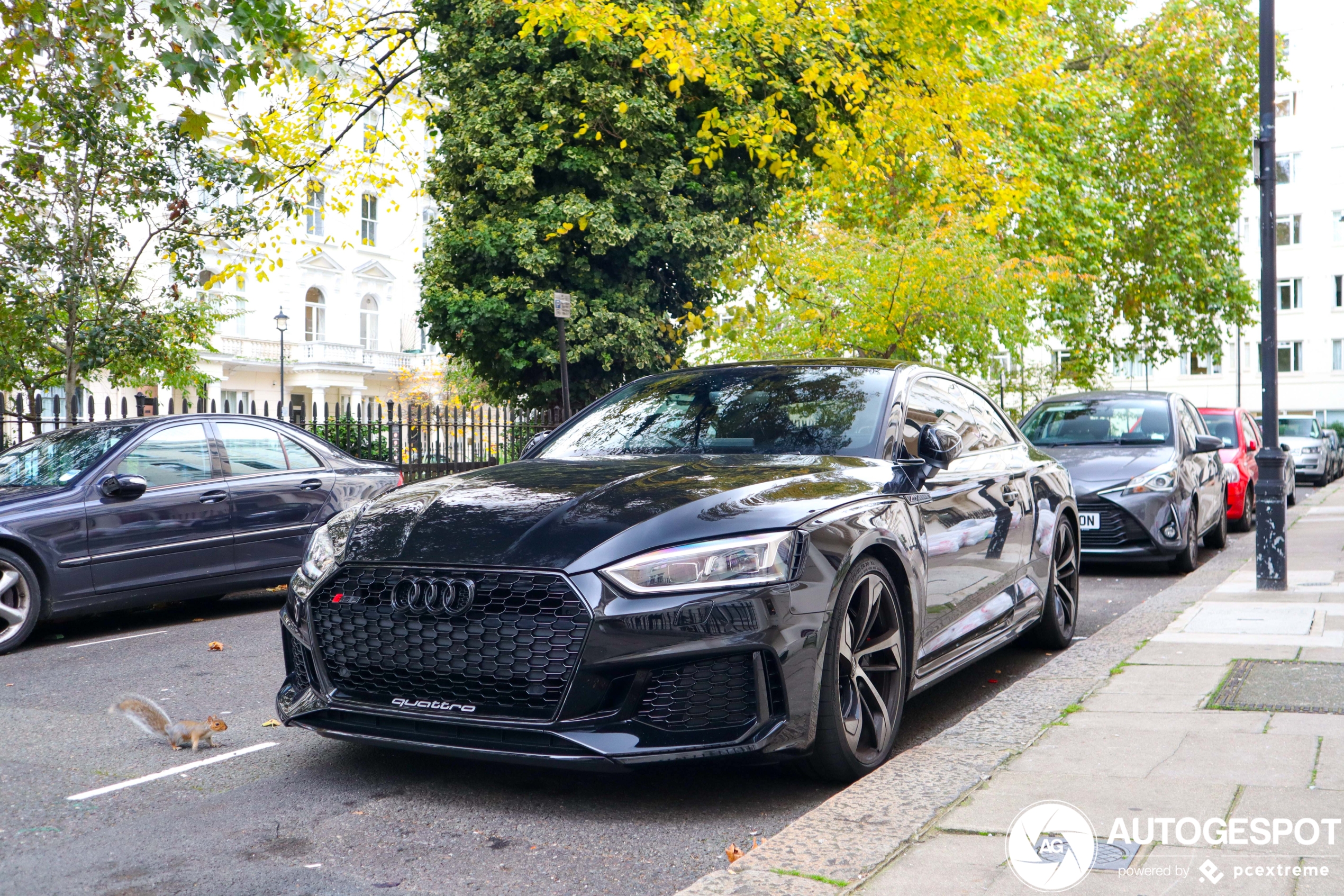 Audi RS5 B9