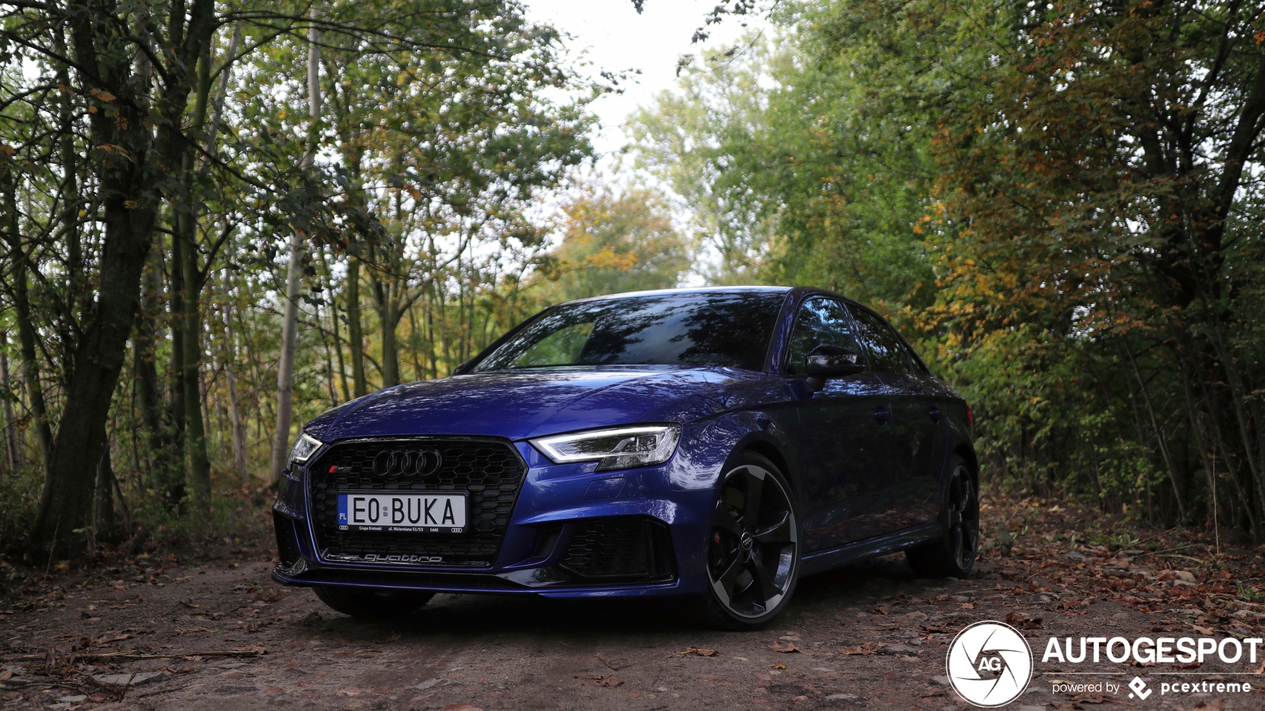 Audi RS3 Sedan 8V