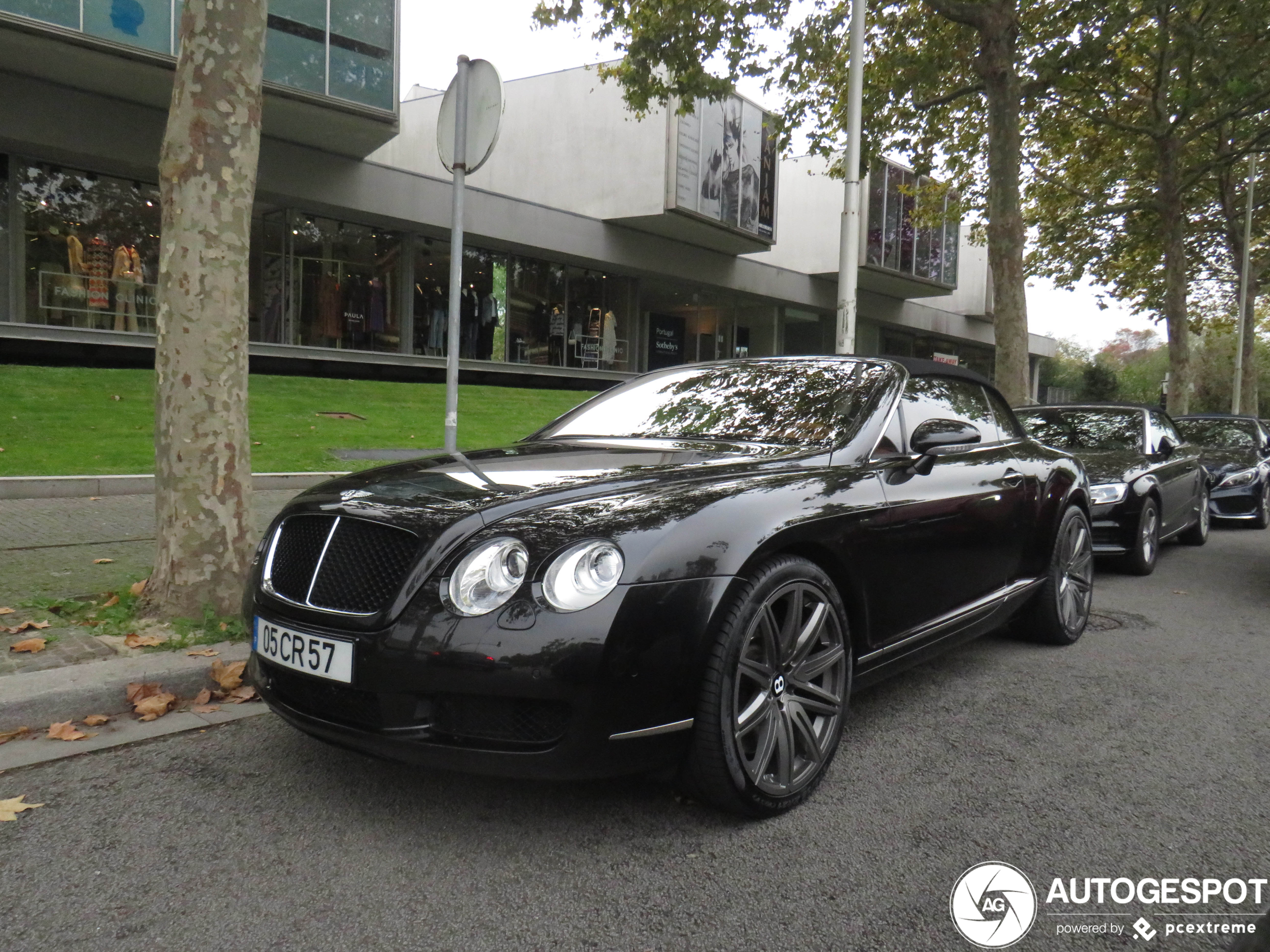 Bentley Continental GTC