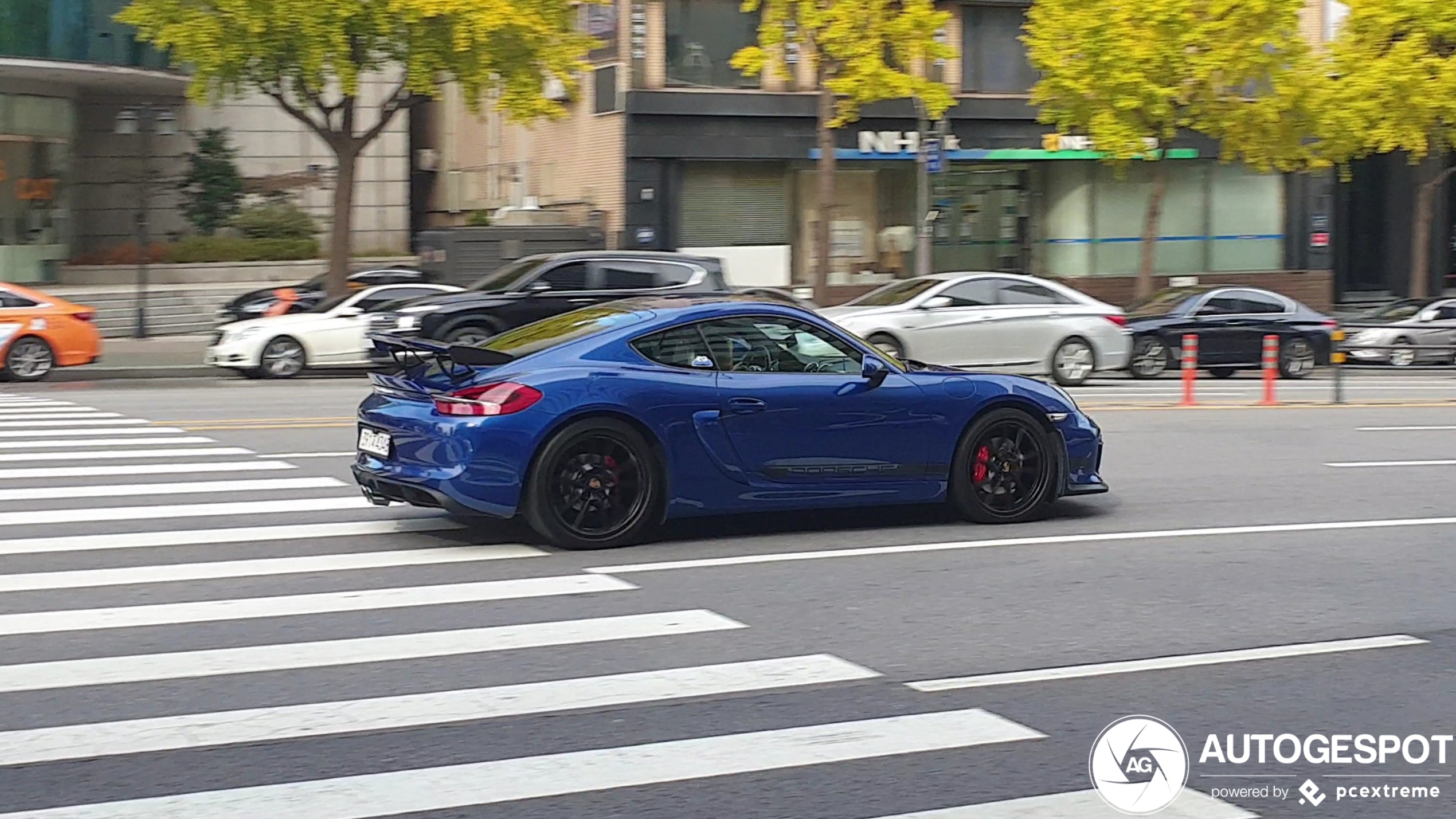 Porsche 981 Cayman GT4