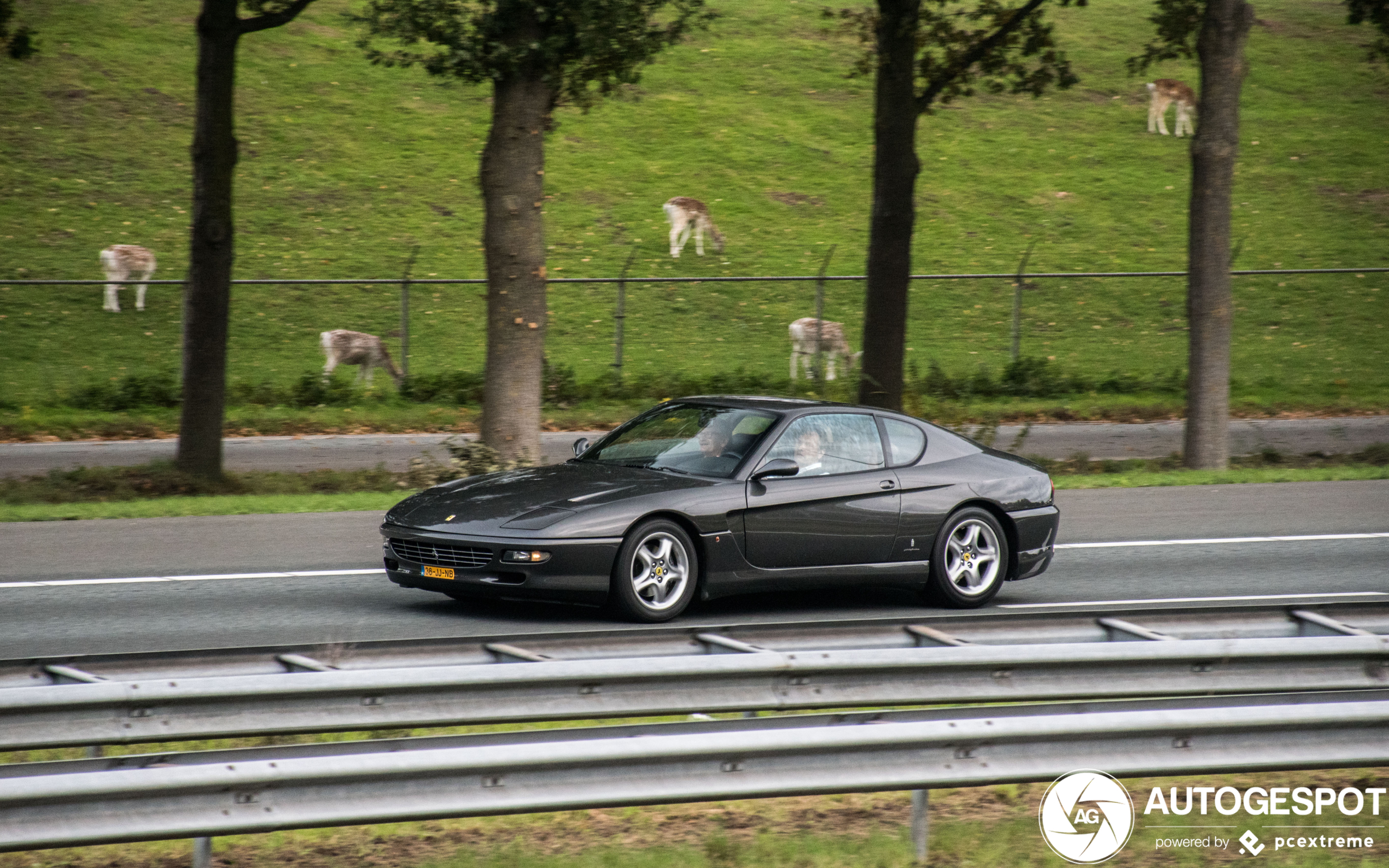 Ferrari 456 GT