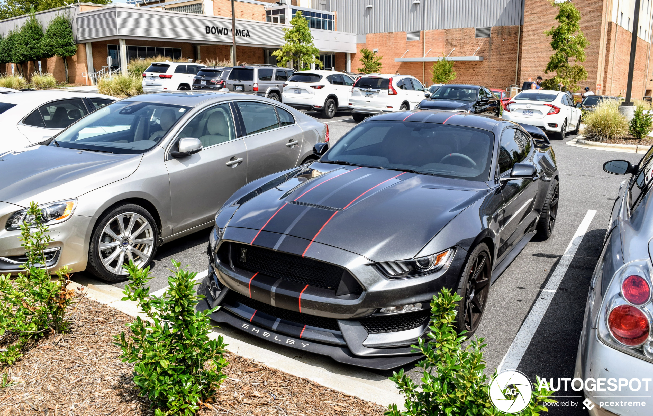 Ford Mustang Shelby GT350R 2015