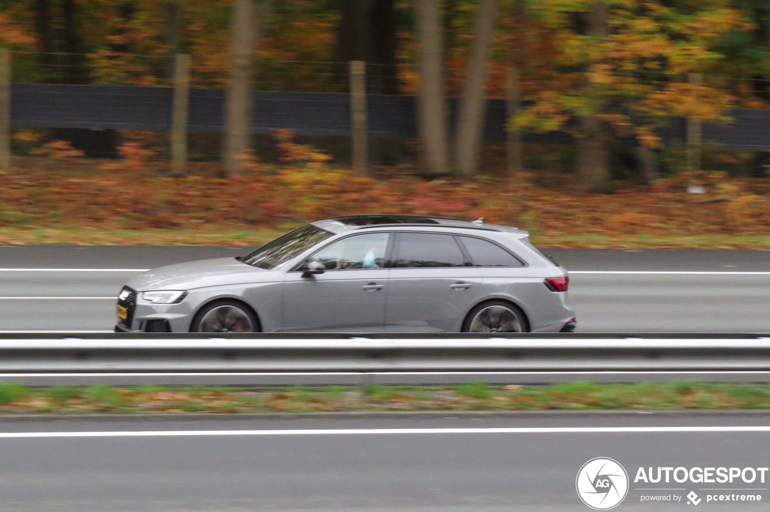 Audi RS4 Avant B9