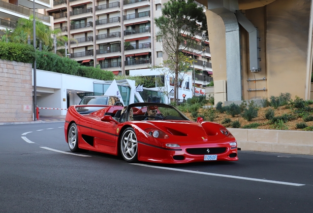 Ferrari F50