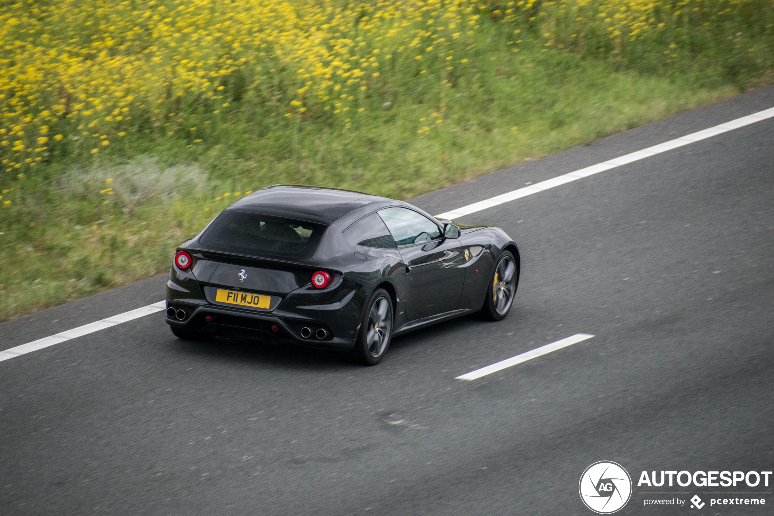 Ferrari FF