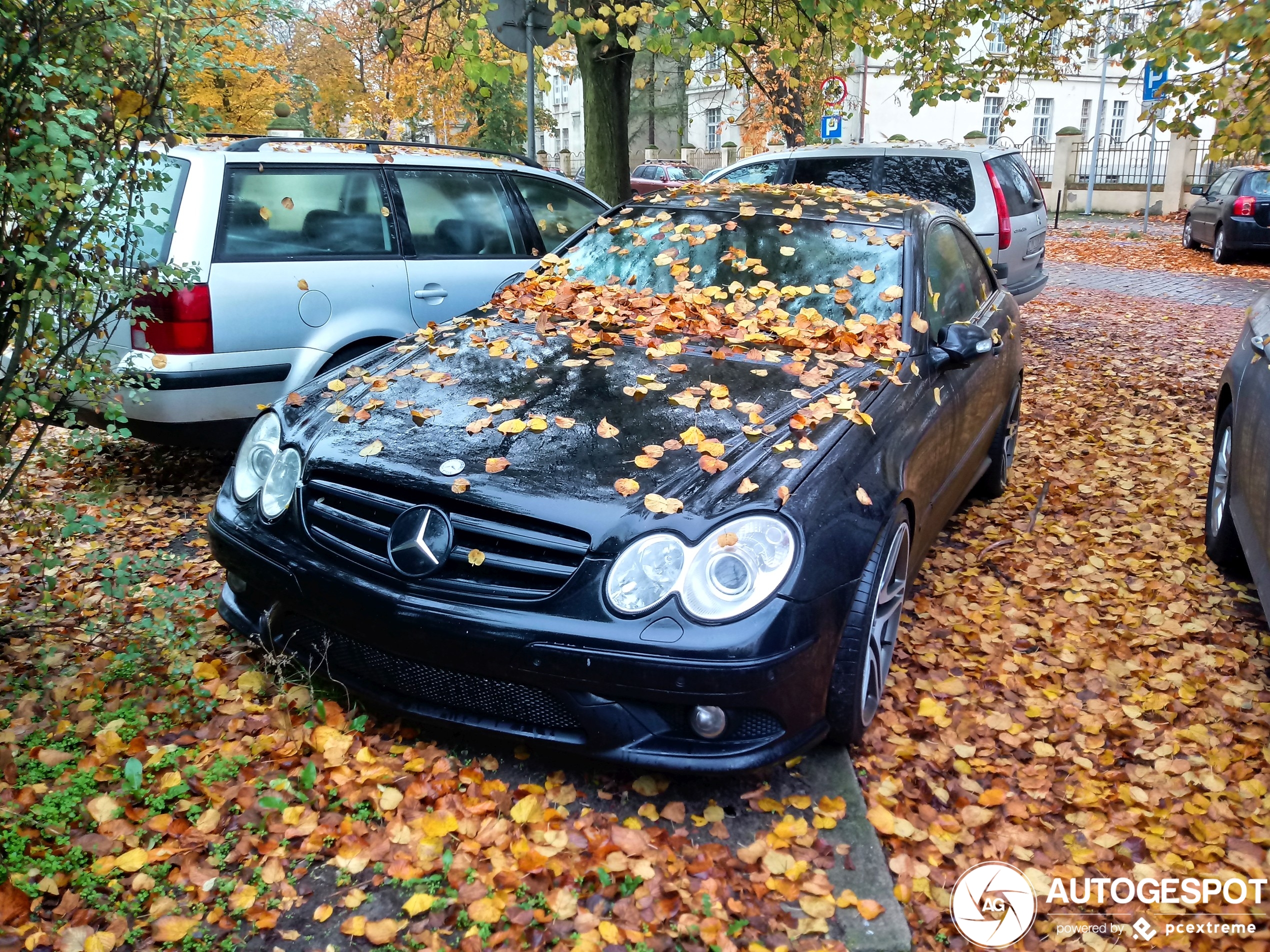 Mercedes-Benz CLK 55 AMG