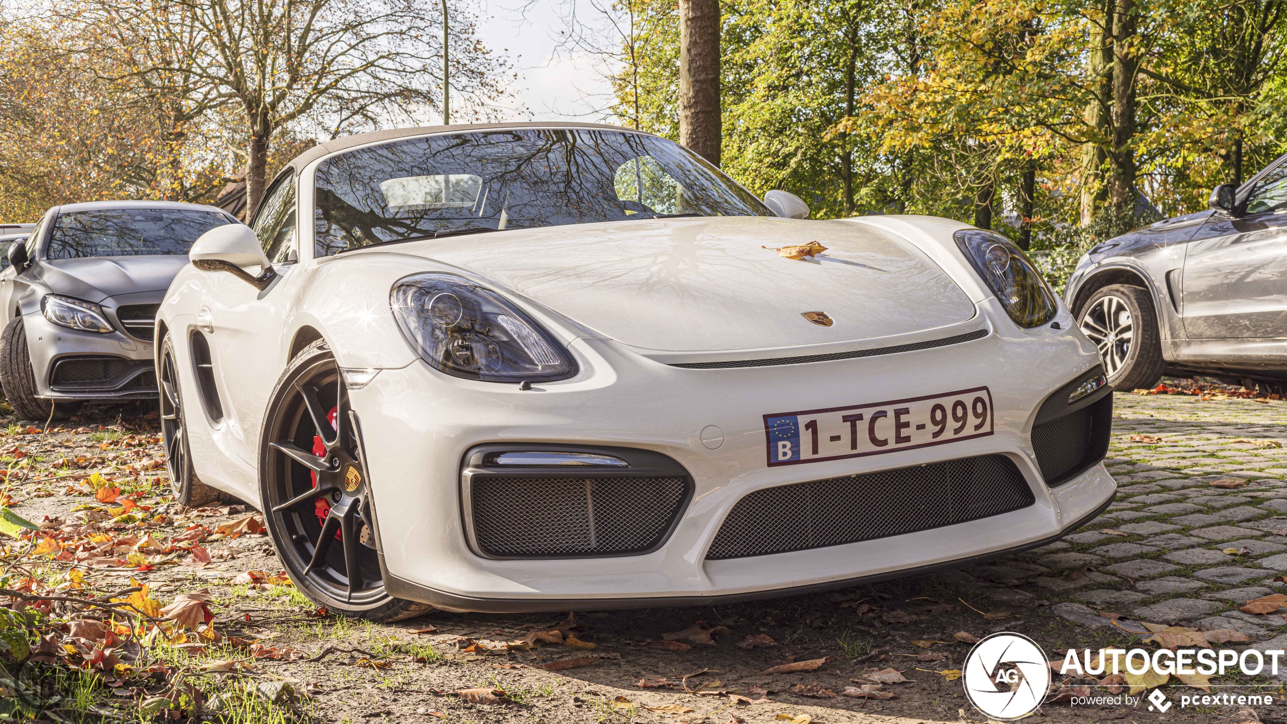 Porsche 981 Boxster Spyder