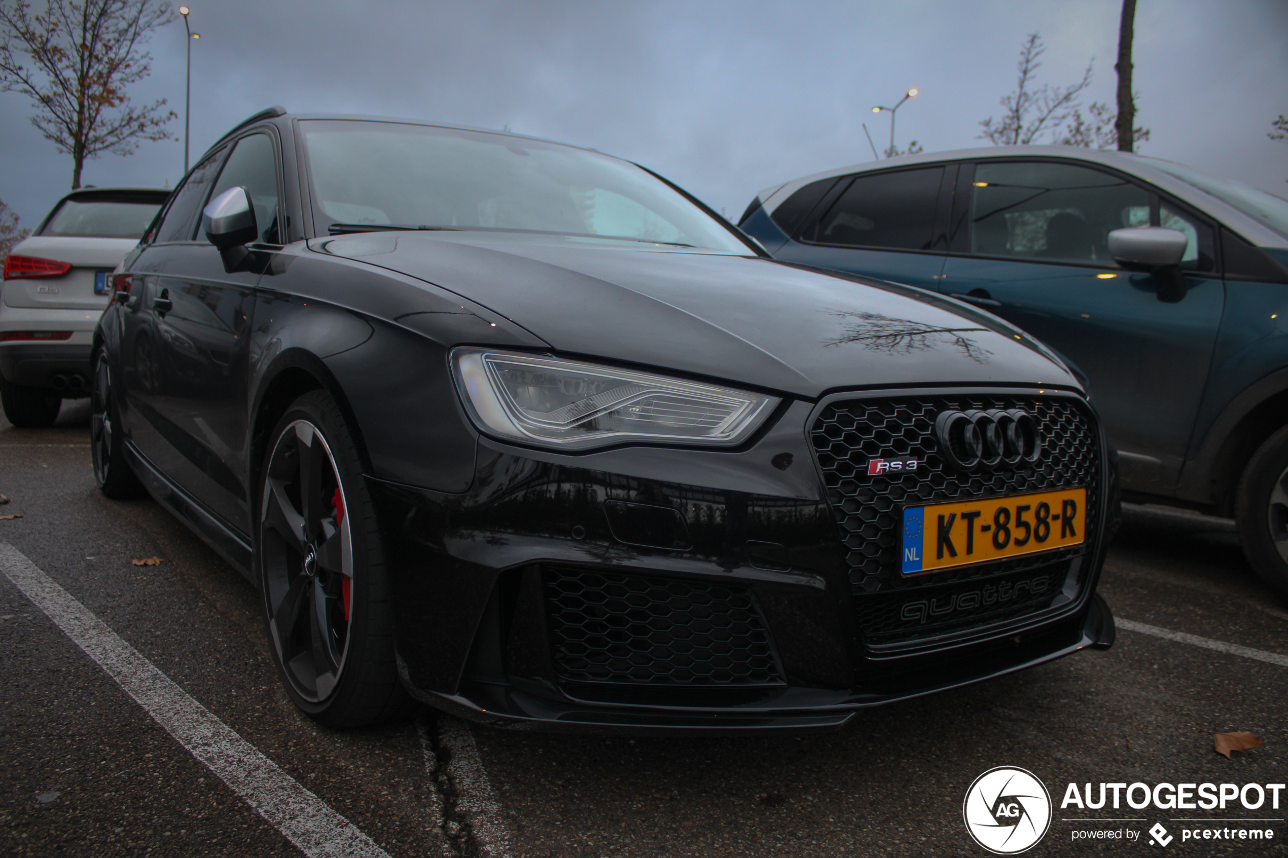 Audi RS3 Sportback 8V