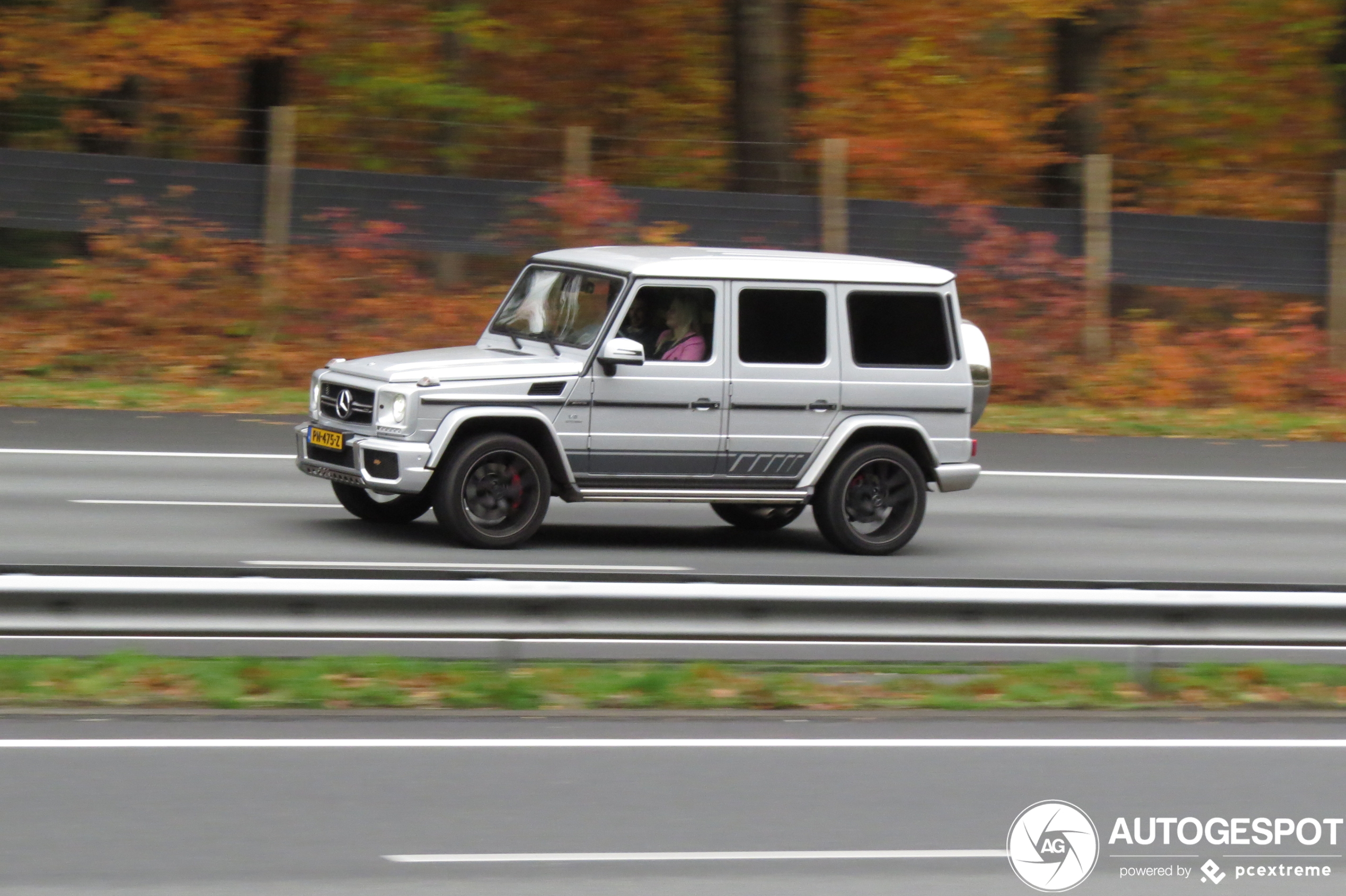 Mercedes-AMG G 63 2016 Edition 463