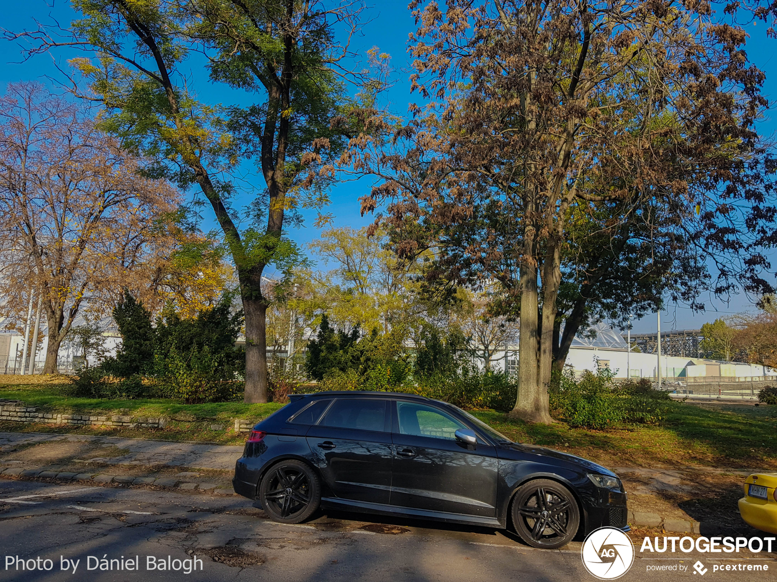 Audi RS3 Sportback 8V